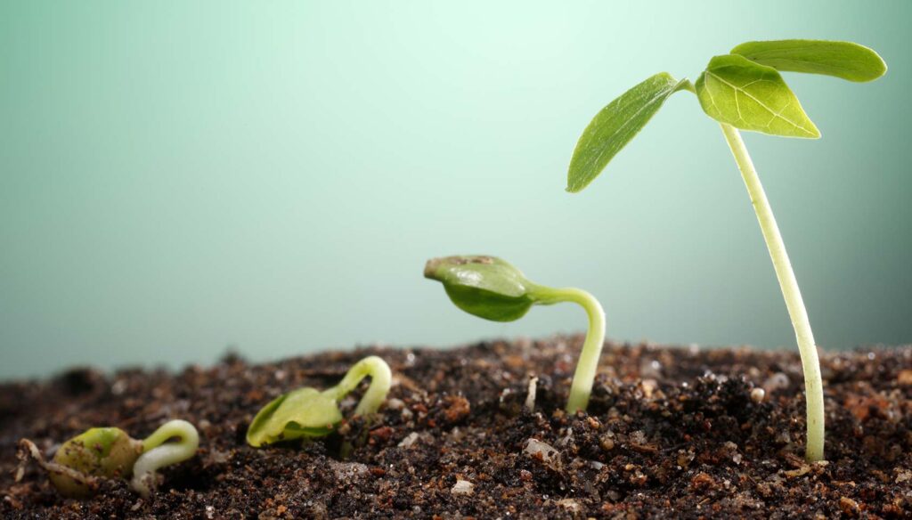 Essential web design tips for start-ups