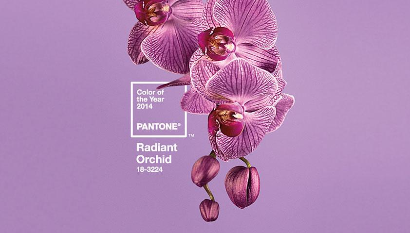 Pantone unveils 2014 color of the year