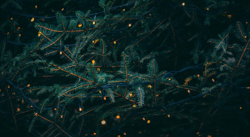 What’s New for Designers, December 2018
