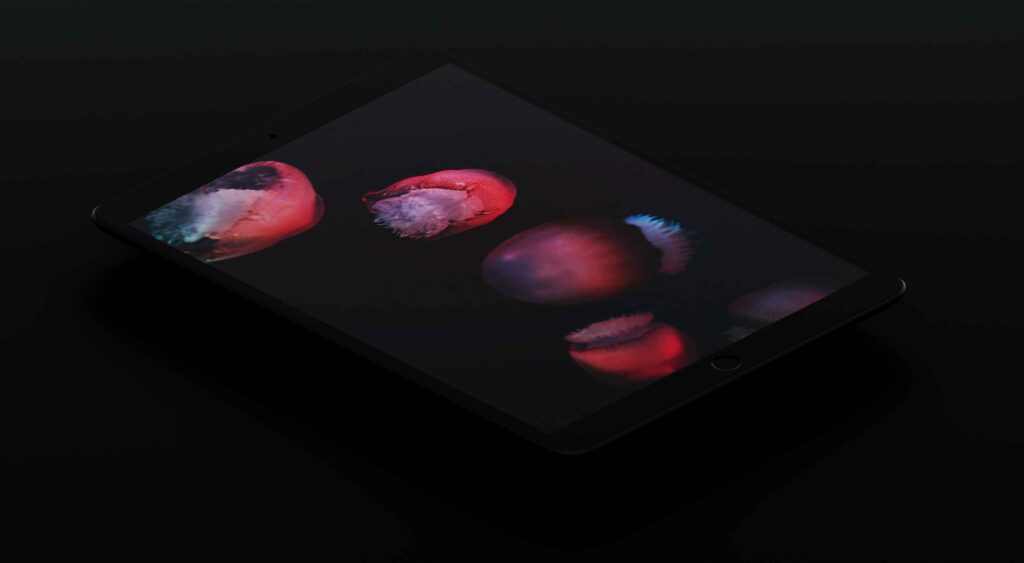 Should Your Site Be Using Dark Mode?
