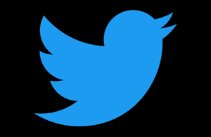 16 Standout Social Media Logos twitter logo