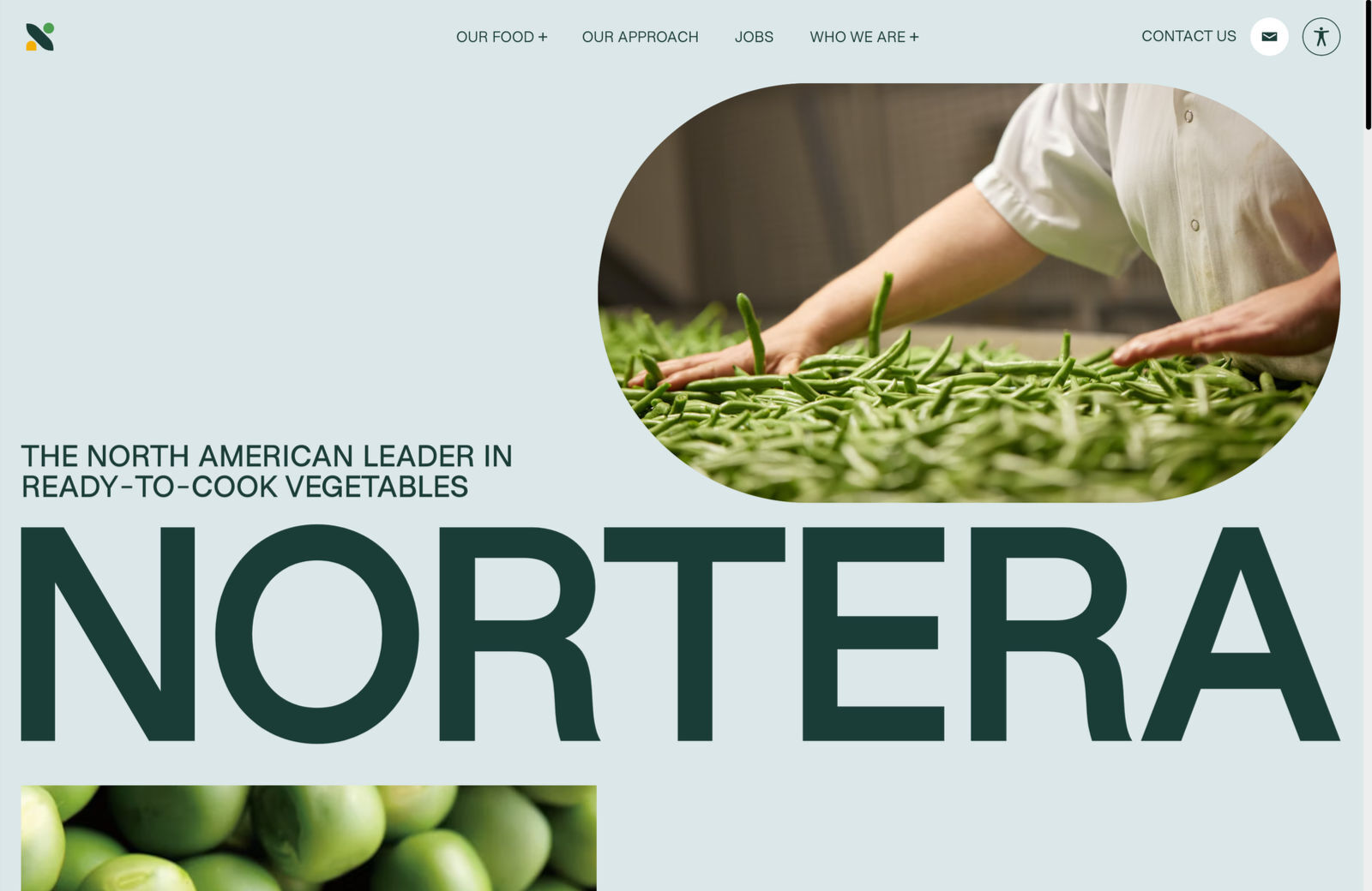 Colors of Positivity: Uplifting Your Website Design nortera