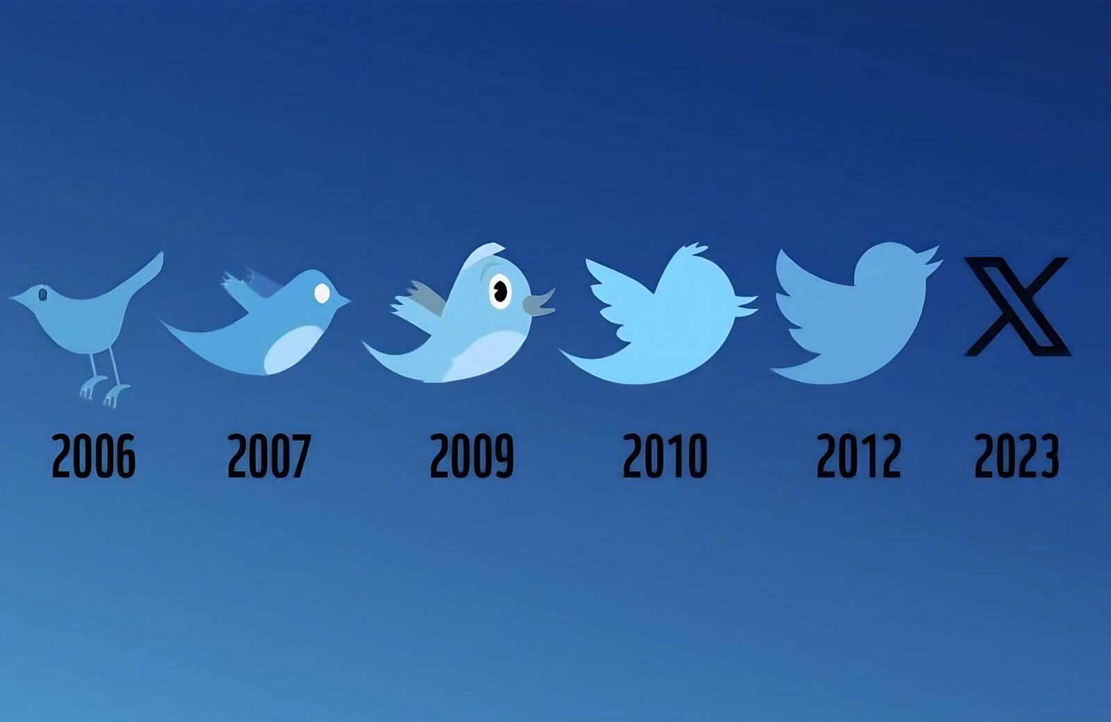 The WWF Launches Brutal Take on Twitter Rebrand The WWF Launches Brutal Take on Twitter Rebrand