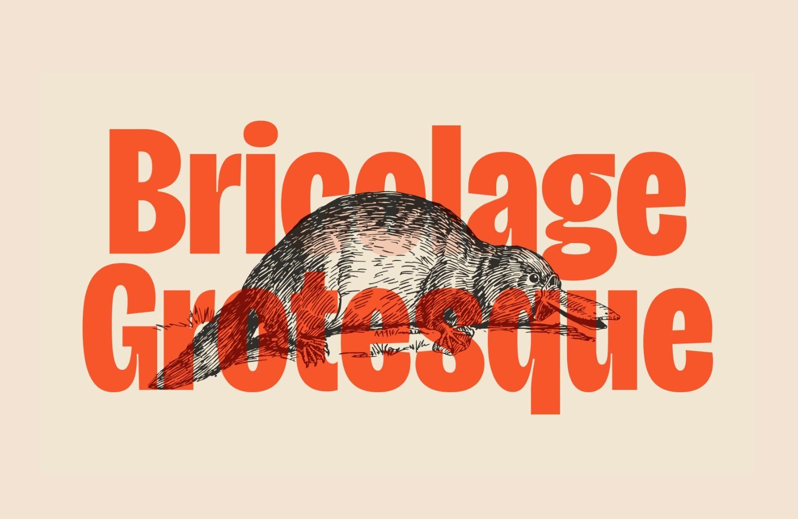 Bricolage