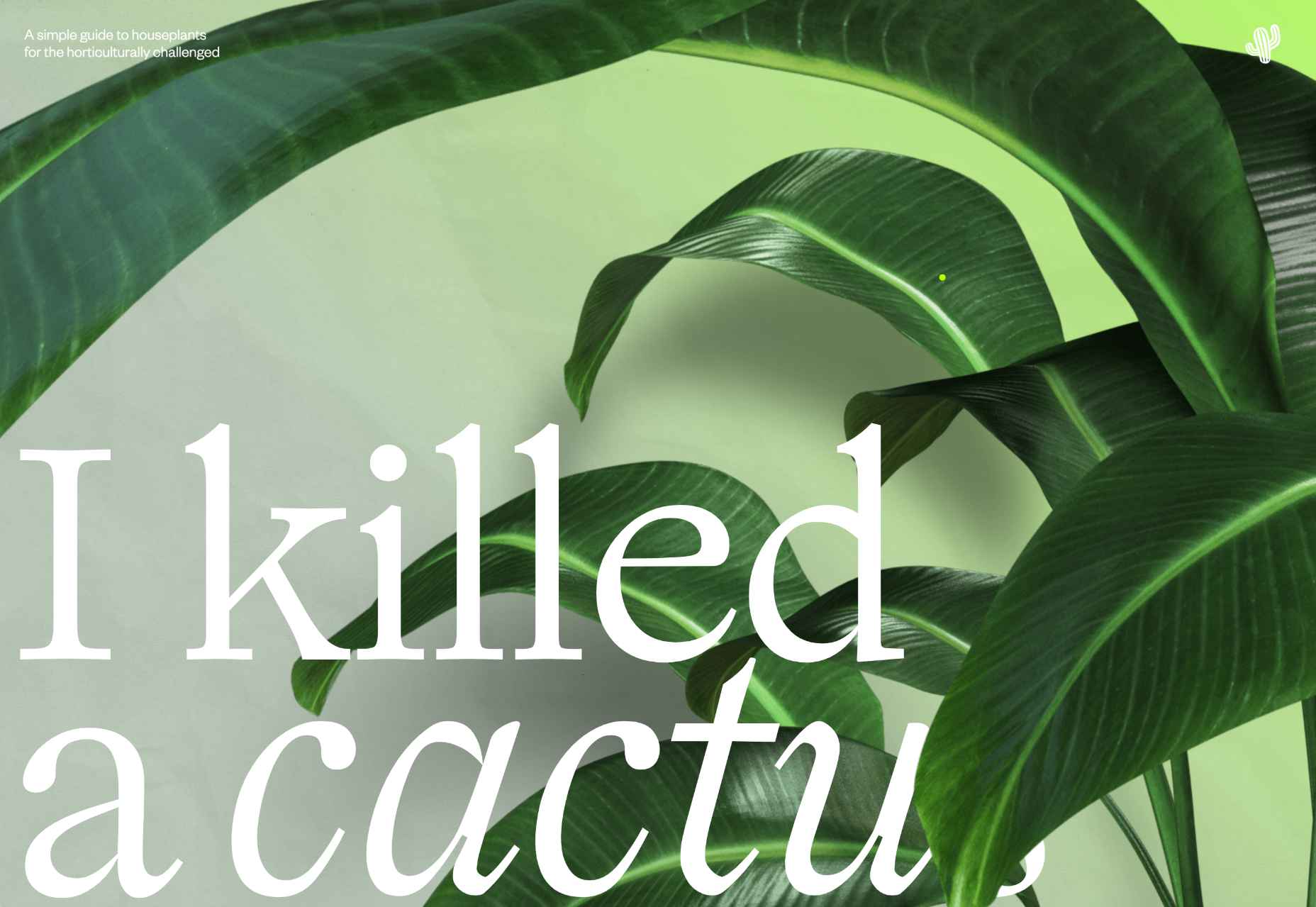010 ikilledacactus