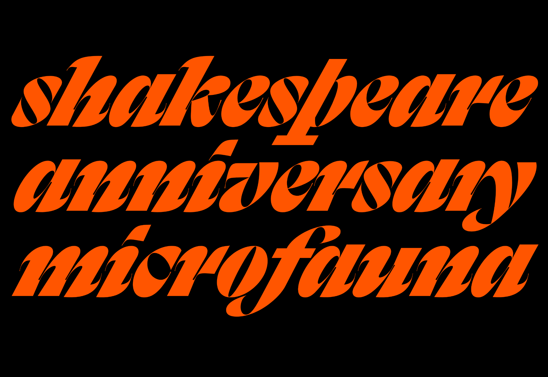 15 Best New Fonts, October 2022 002 rapidissima