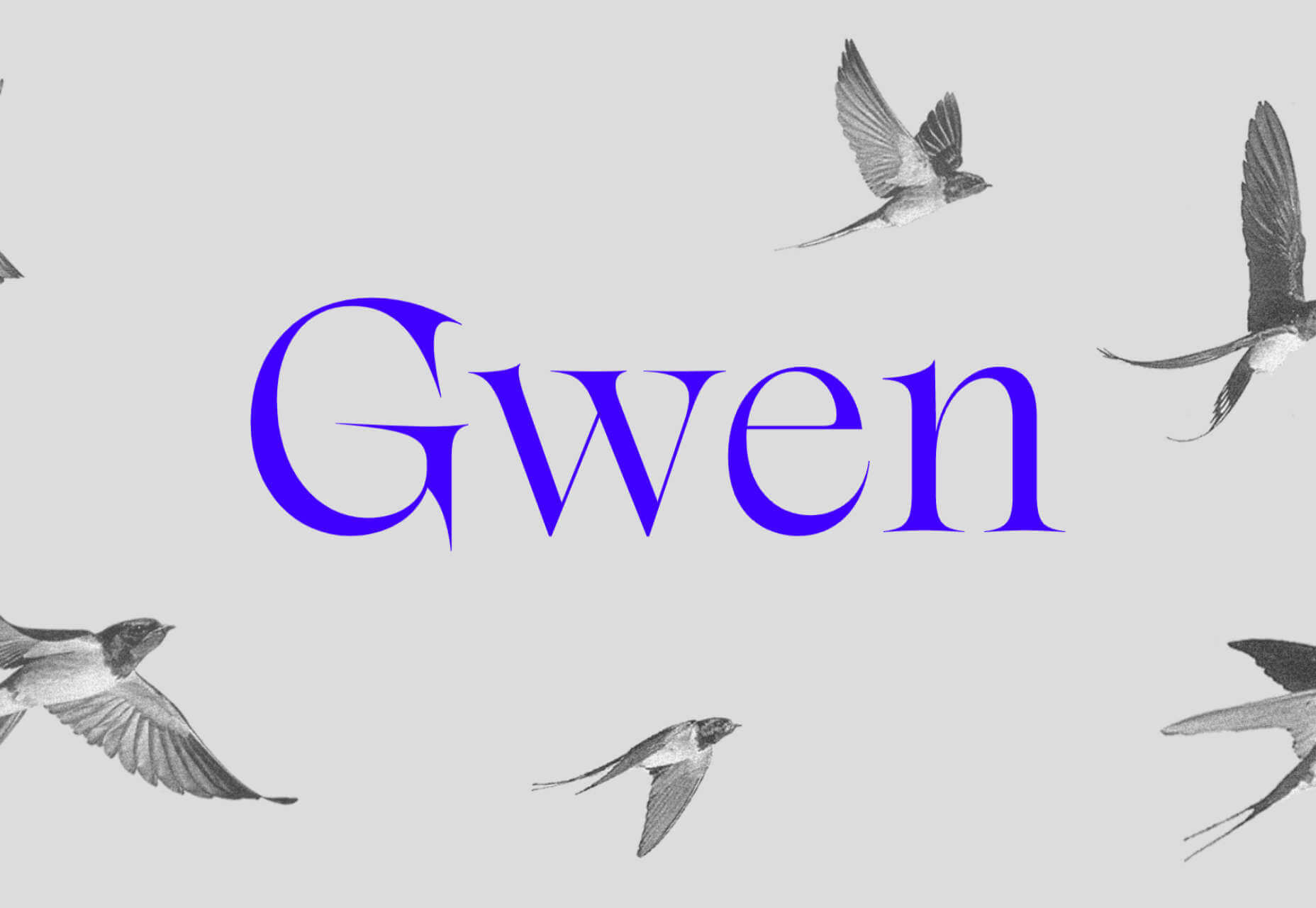 15 Best New Fonts, October 2022 010 gwen