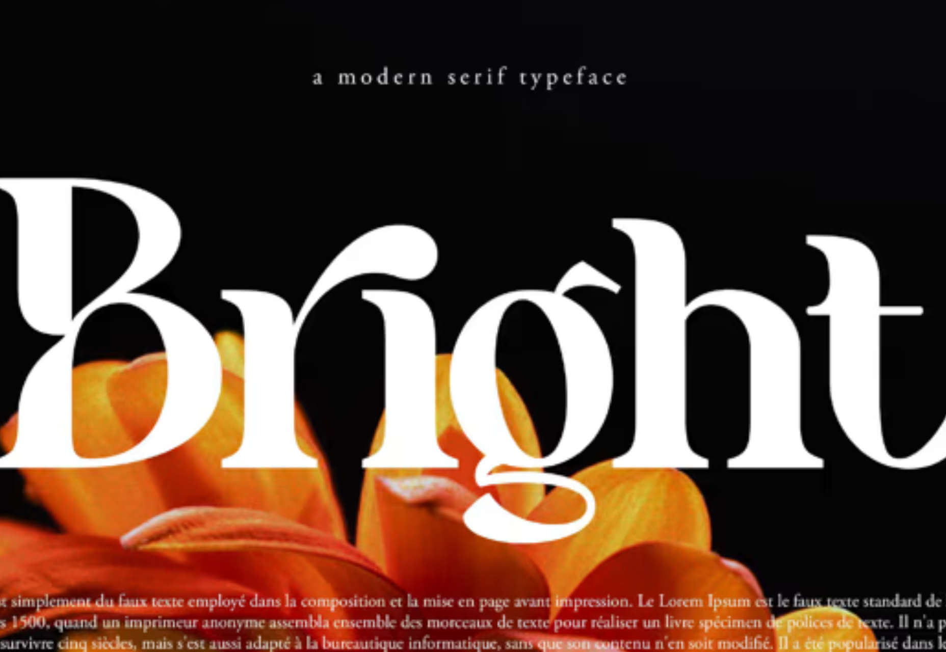 15 Best New Fonts, October 2022 011 benogi