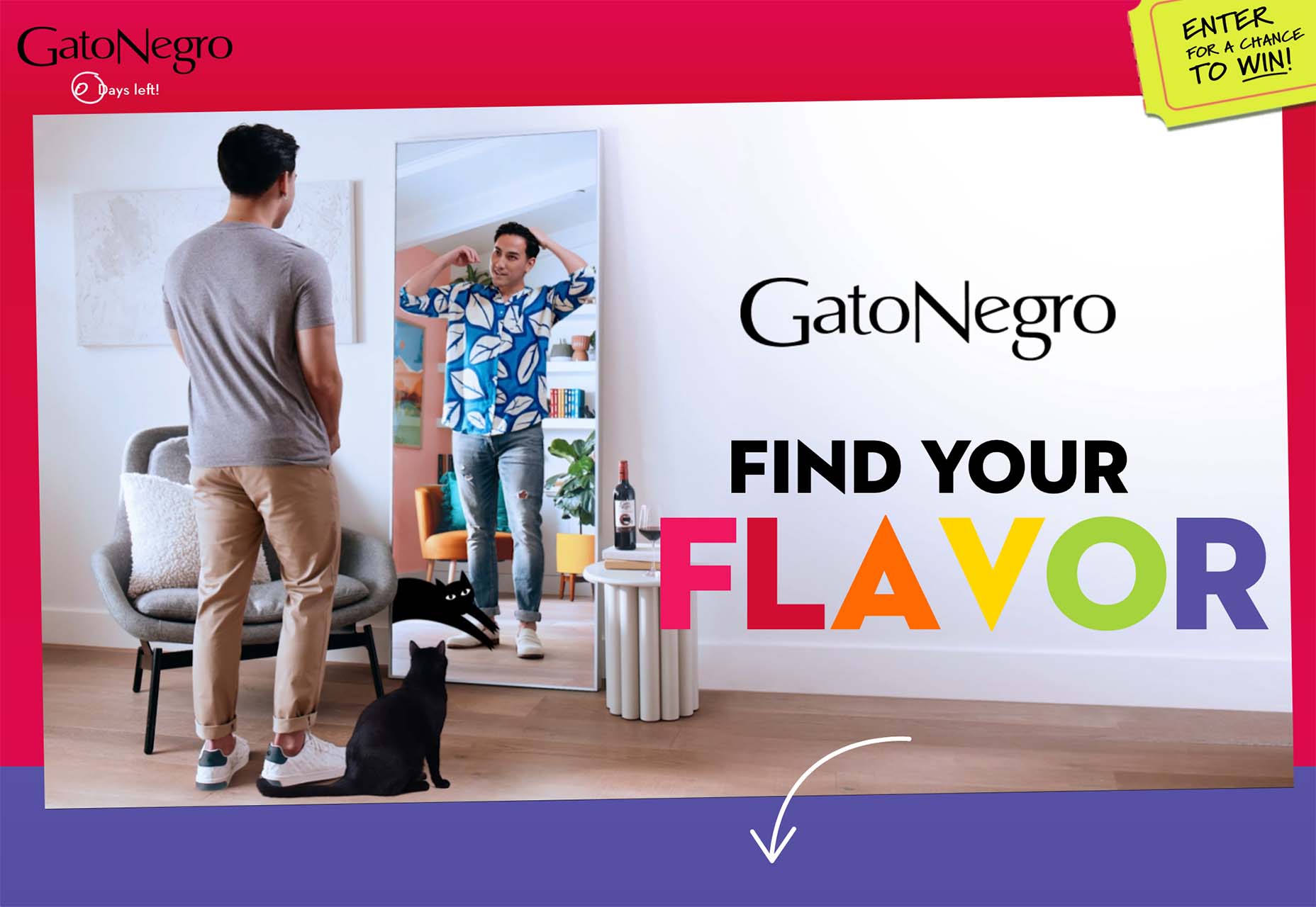 3 Essential Design Trends, August 2022 gato