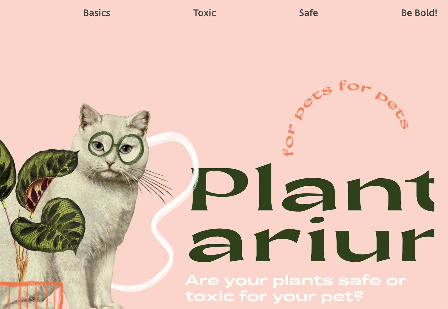 3 Essential Design Trends, June 2022 plants