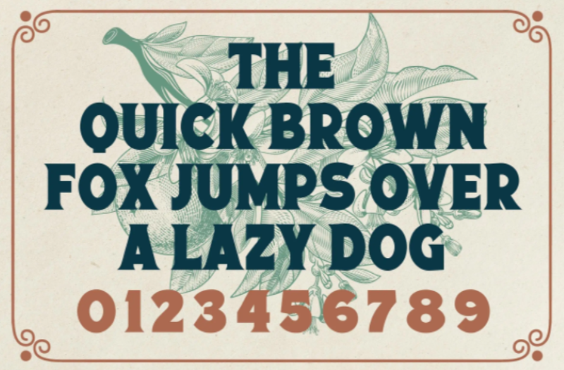 15 Best New Fonts, June 2022 Bells Morten font