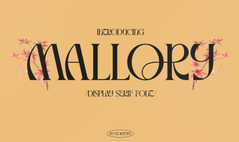 15 Best New Fonts, June 2022 Mallory font