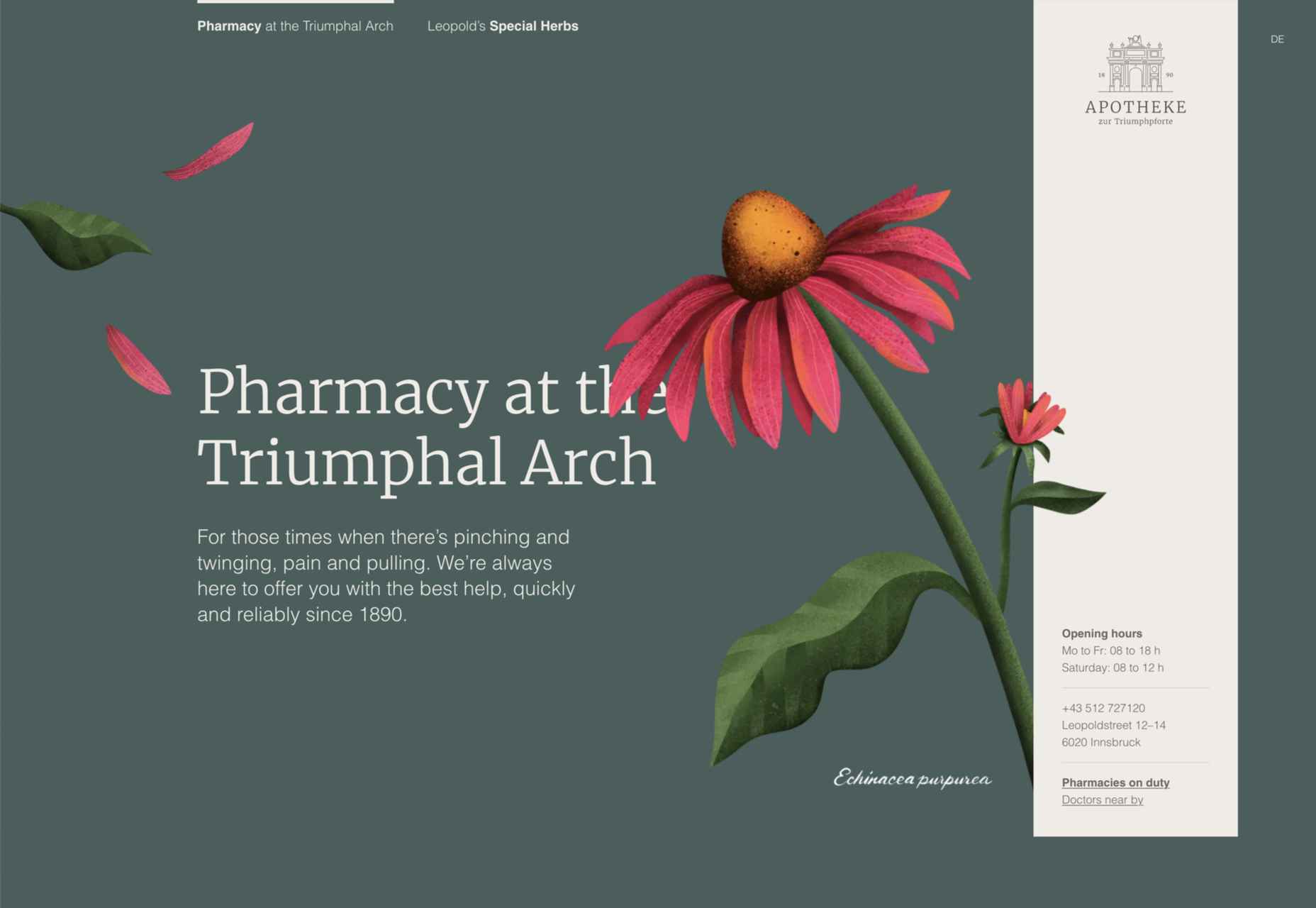 20 Best New Websites, June 2022 018 apotheke