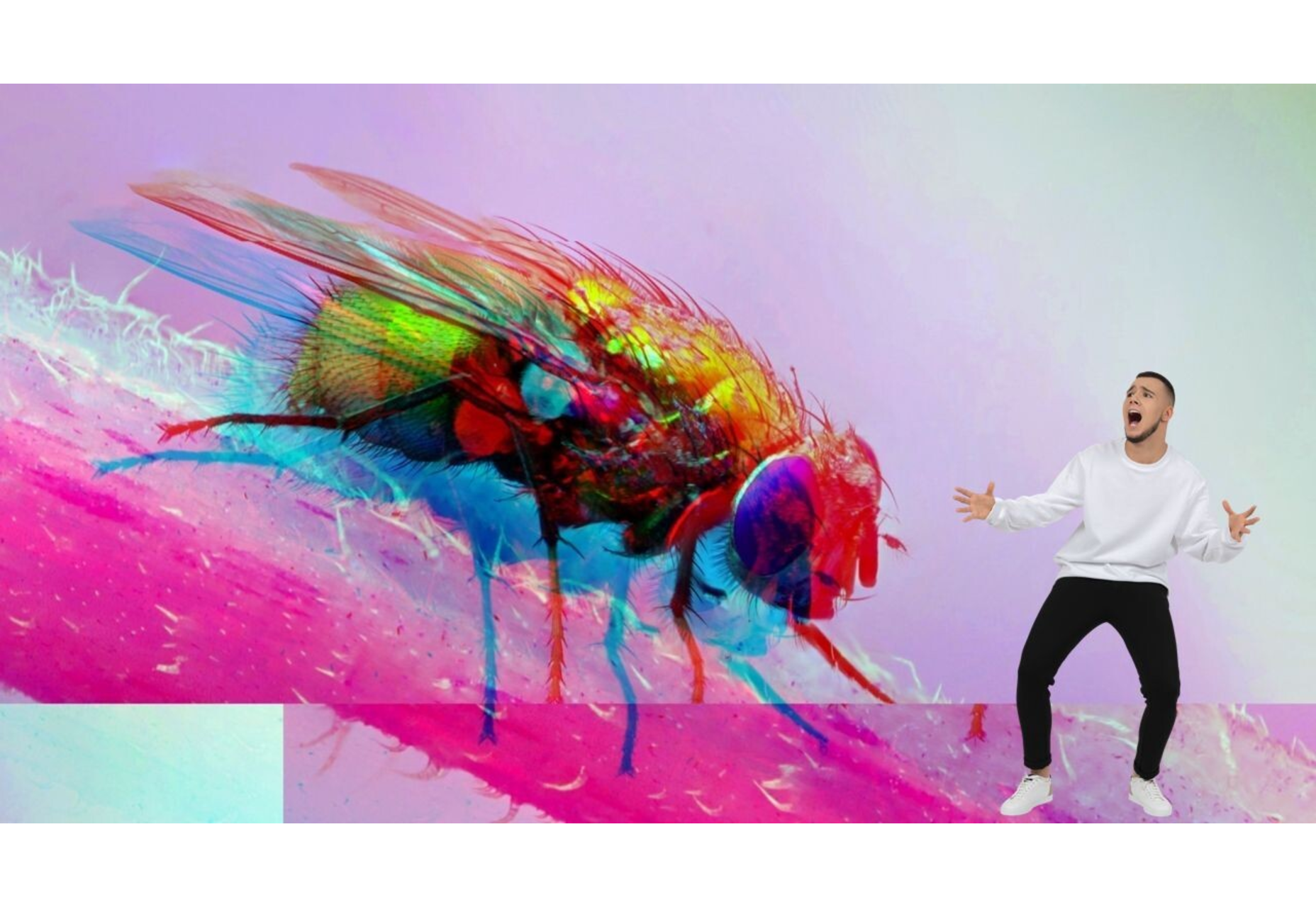 Popular Design News of the Week: April 18, 2022 - April 24, 2022 hate-being-a-developer