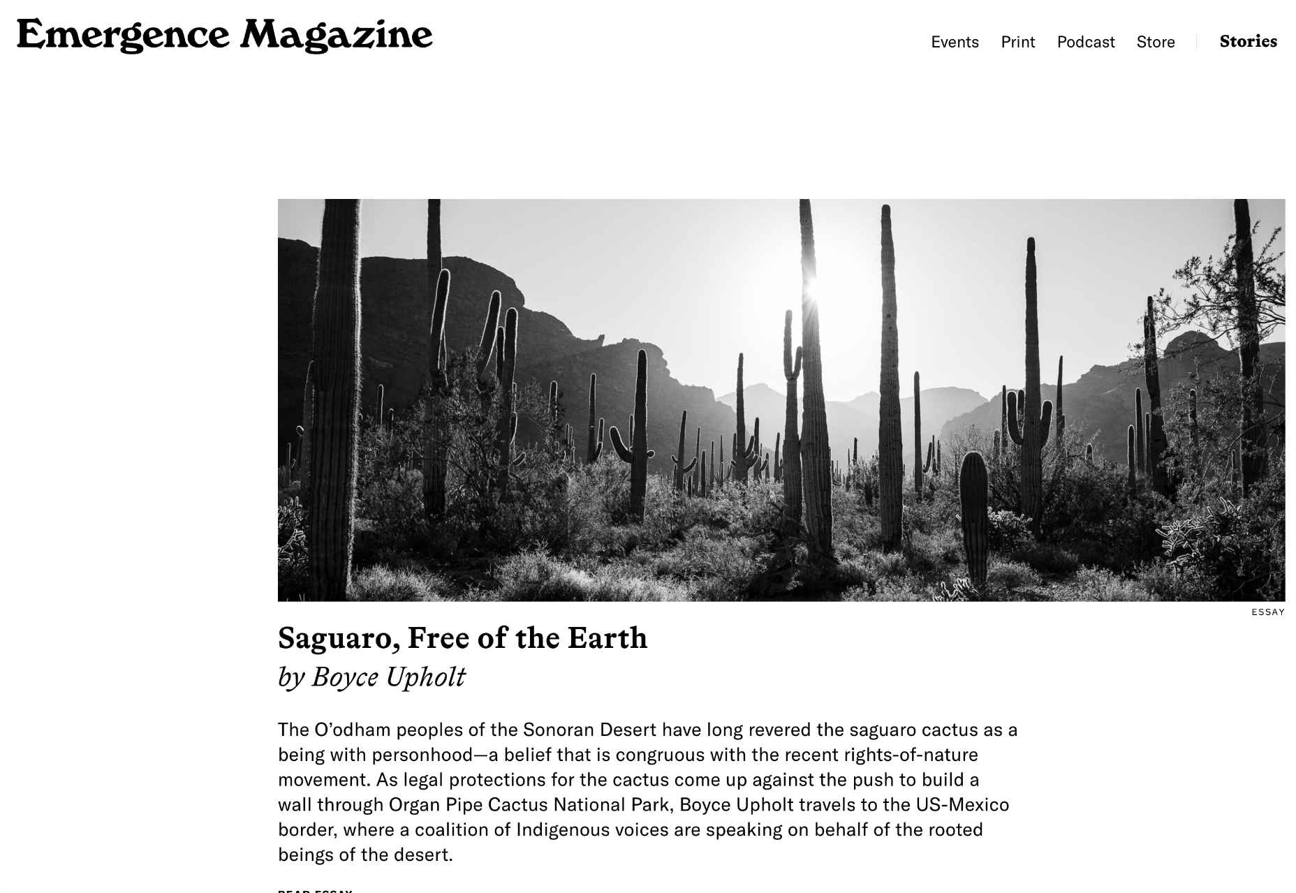 20 Best New Sites, April 2022 03 emergence