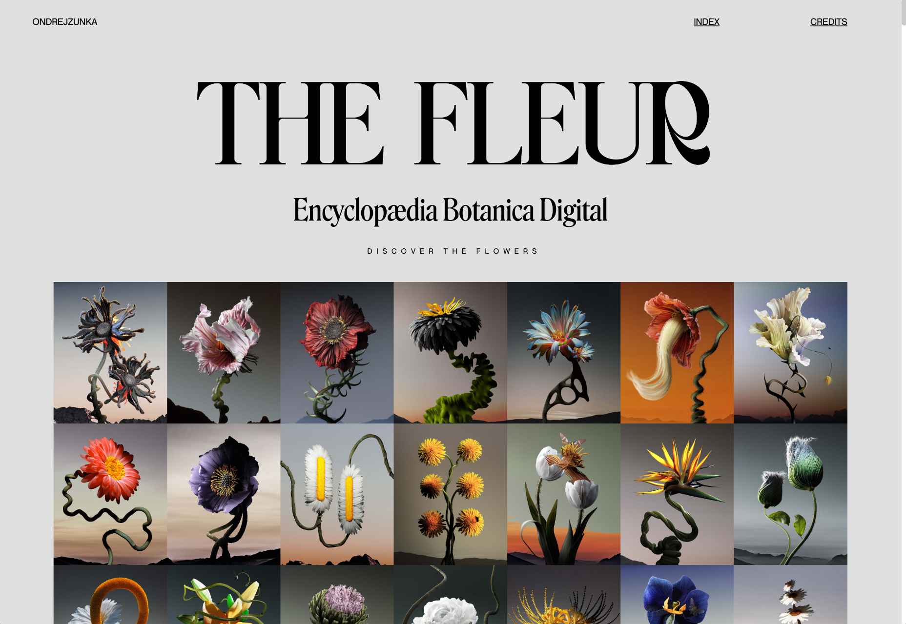 20 Best New Sites, April 2022 15 thefleur