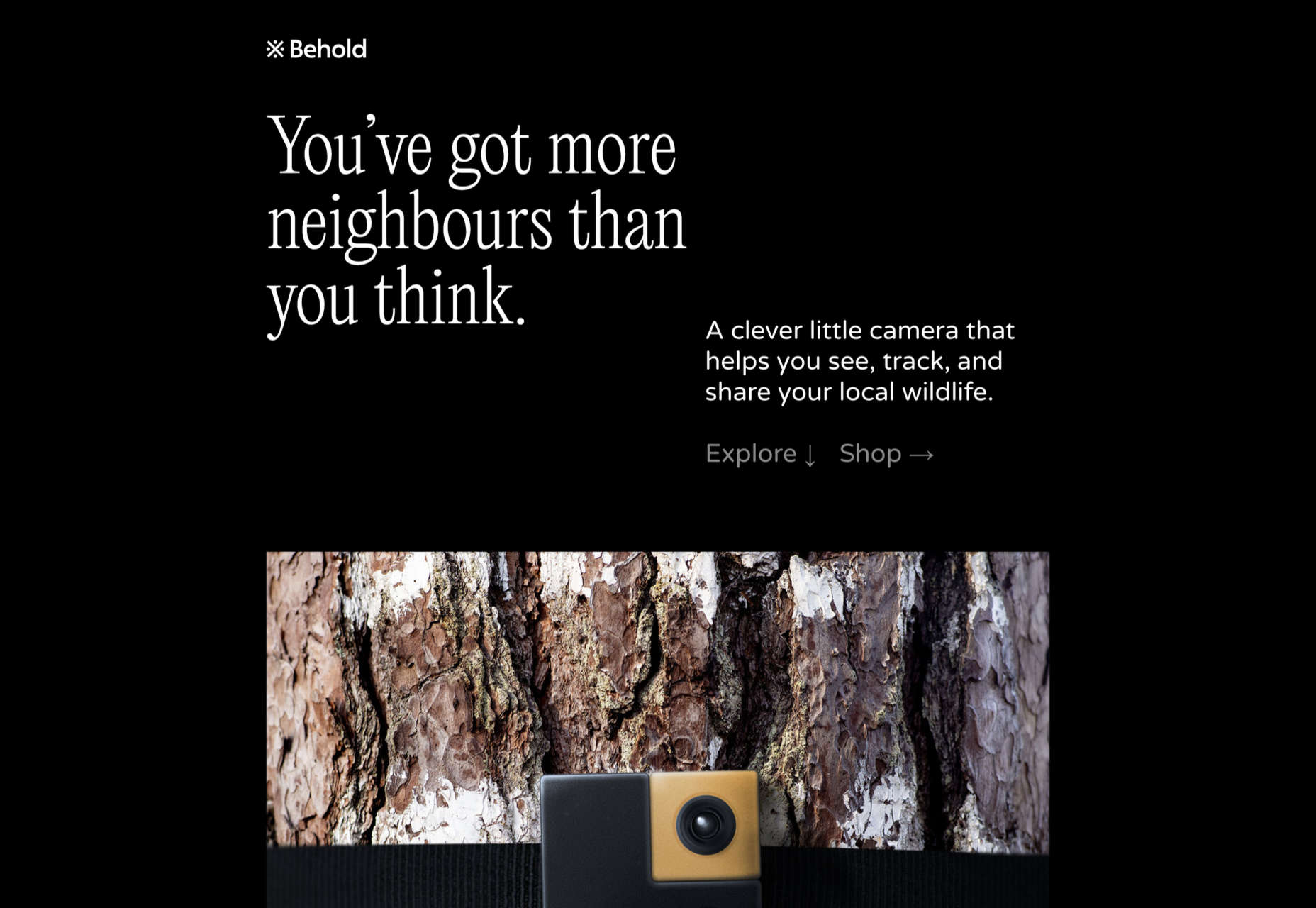 20 Best New Websites, February 2022 006 2 1