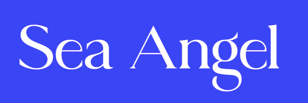 15 Best New Fonts, February 2022 Sea Angel - an elegant serif