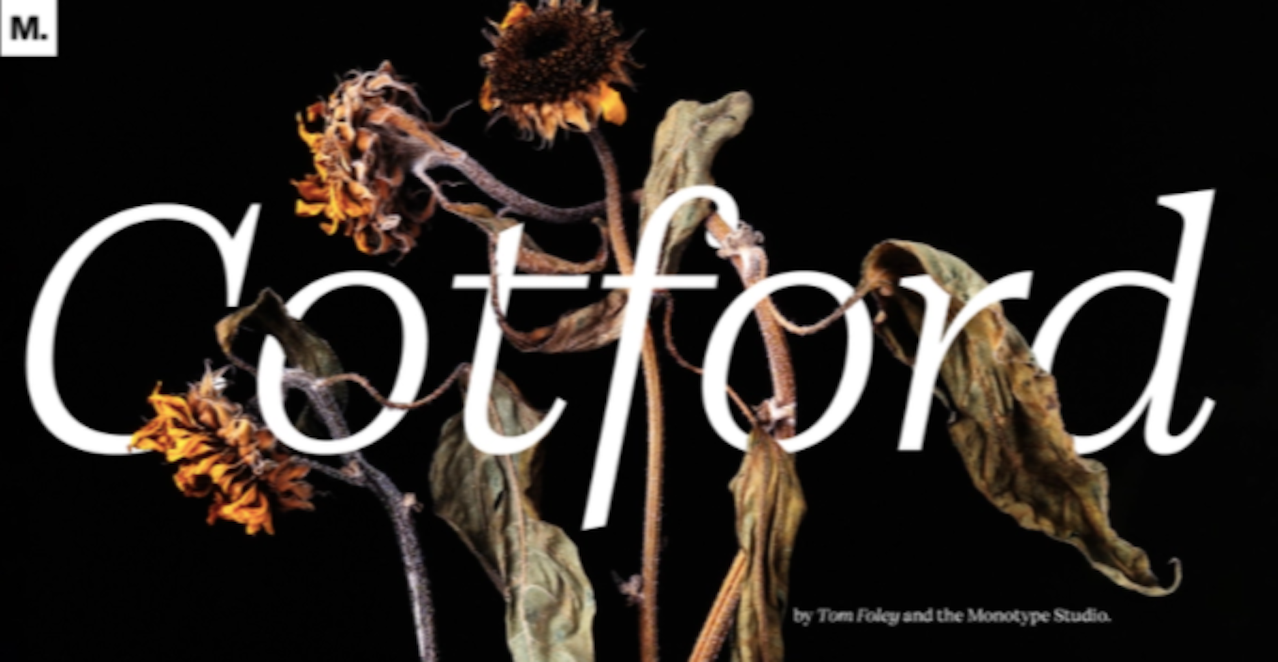 15 Best New Fonts, January 2022 Cotford a new font