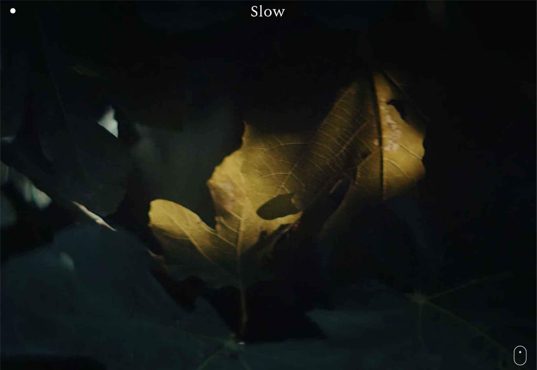50 Best Websites of 2021 002 slow