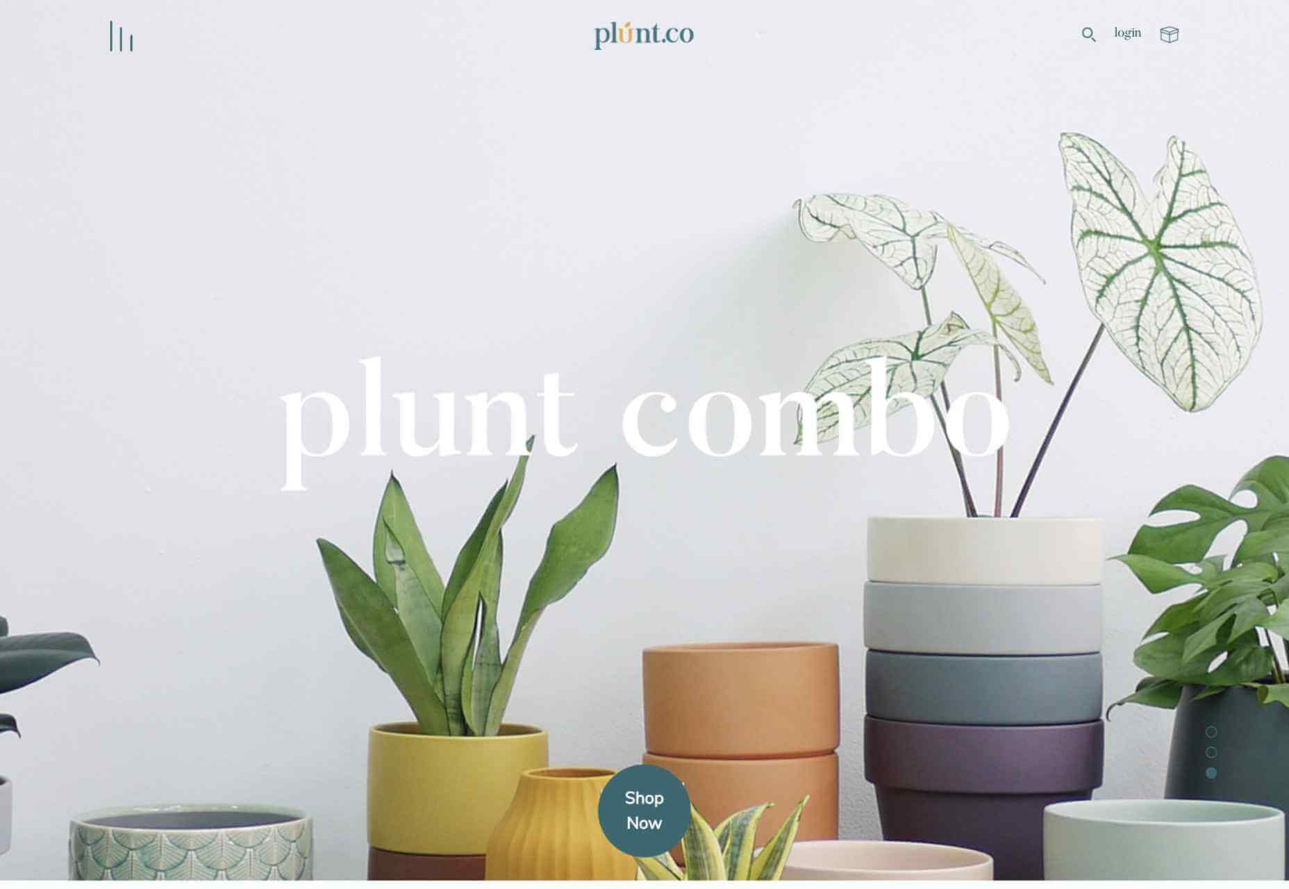 50 Best Websites of 2021 007 plunt