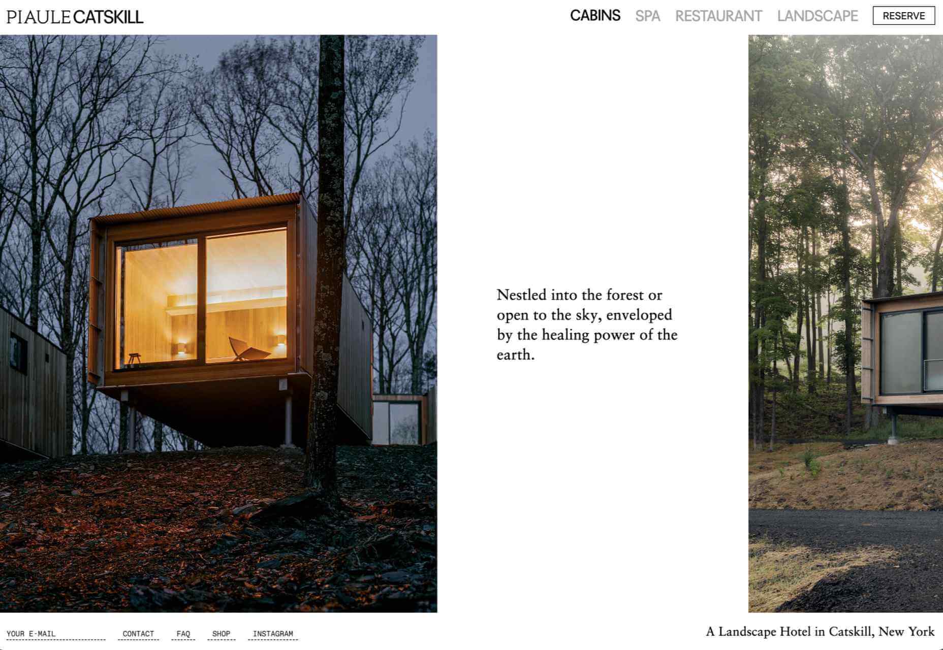 20 Best New Websites, November 2021 09 piaulecatskill