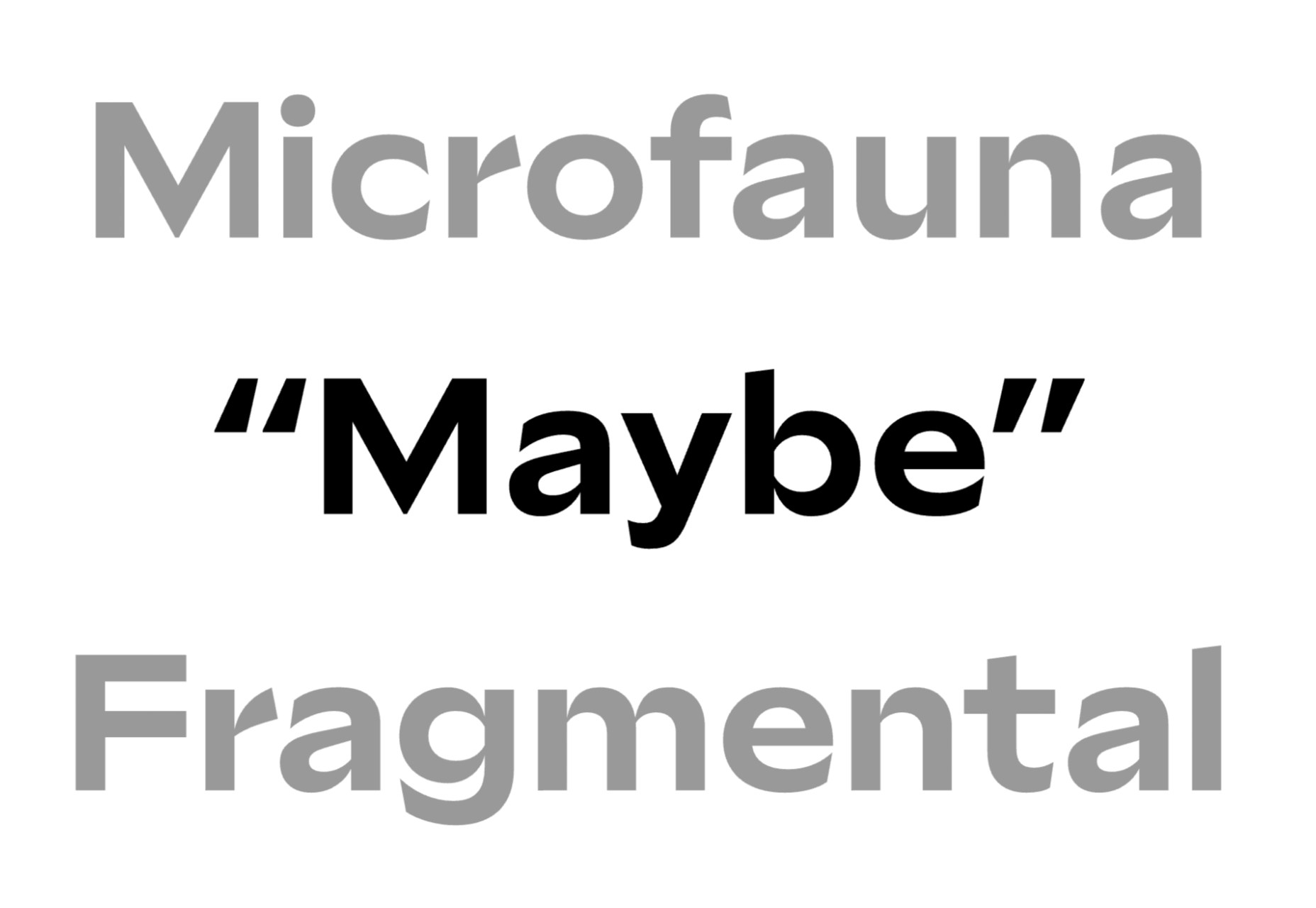 20 Best New Fonts, June 2021 20 sculpin