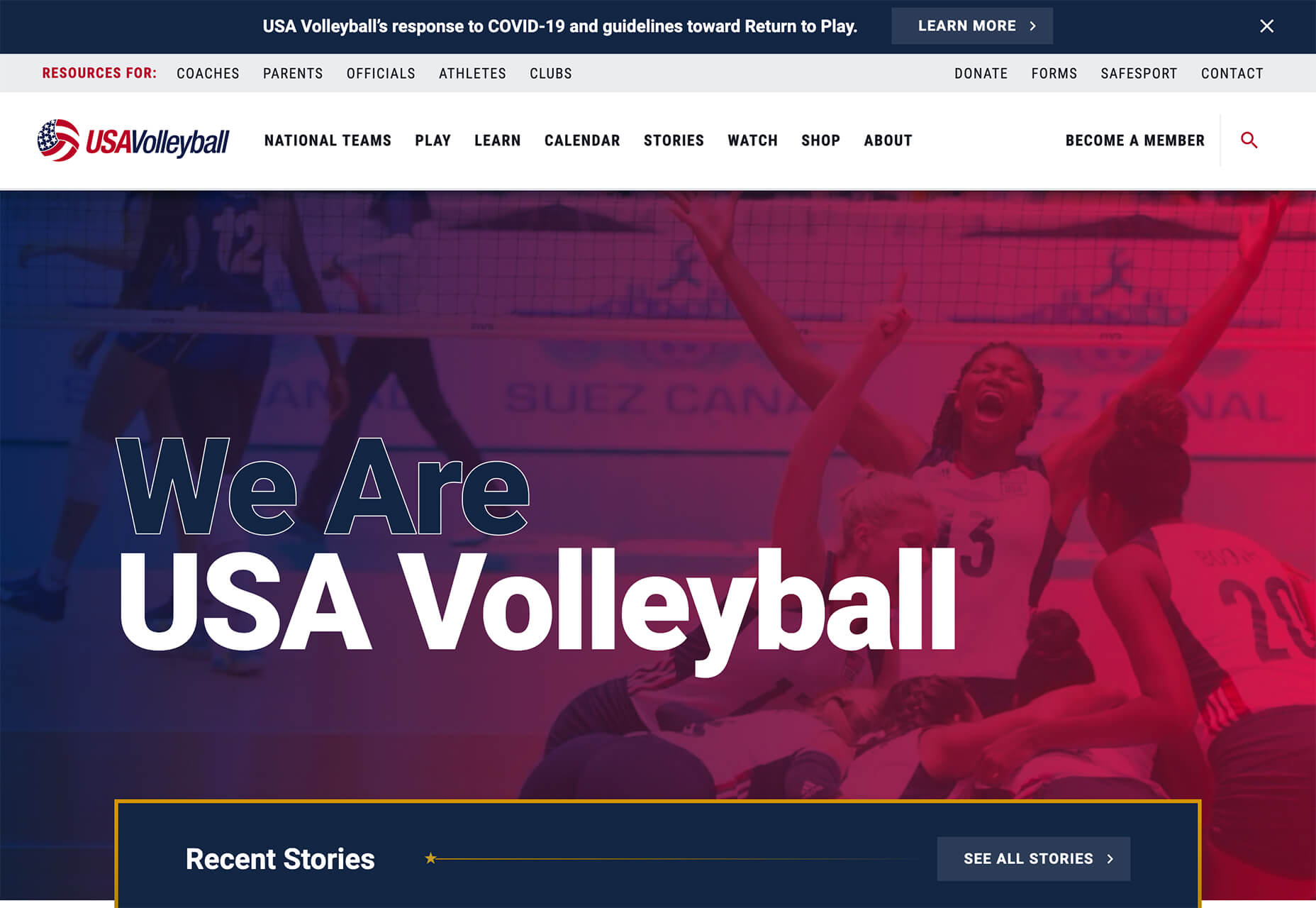 3 Essential Design Trends, March 2021 volleyball