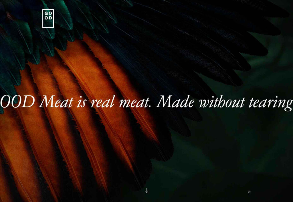 20 Best New Websites, February 2021