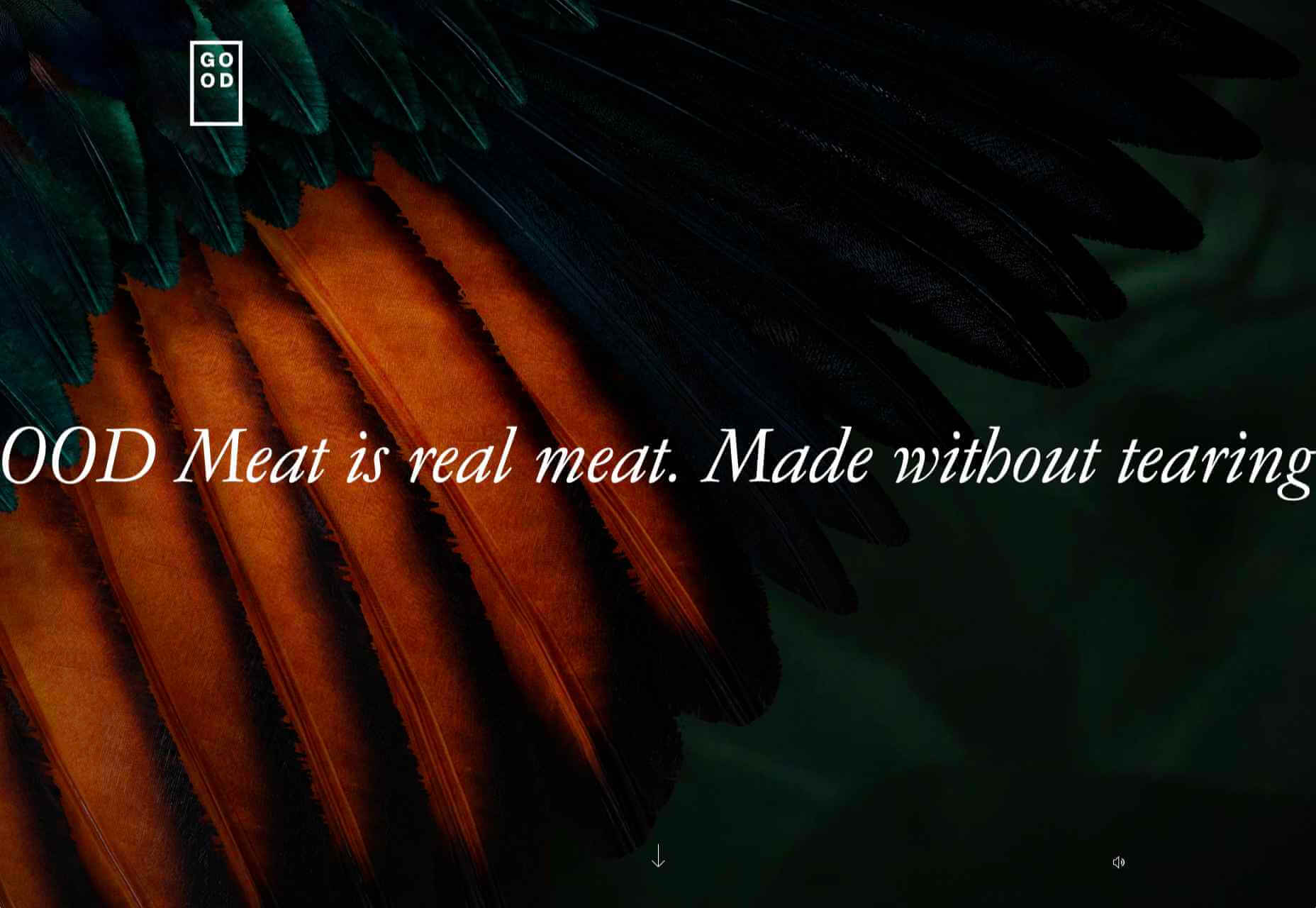 20 Best New Websites, February 2021 01 goodmeat