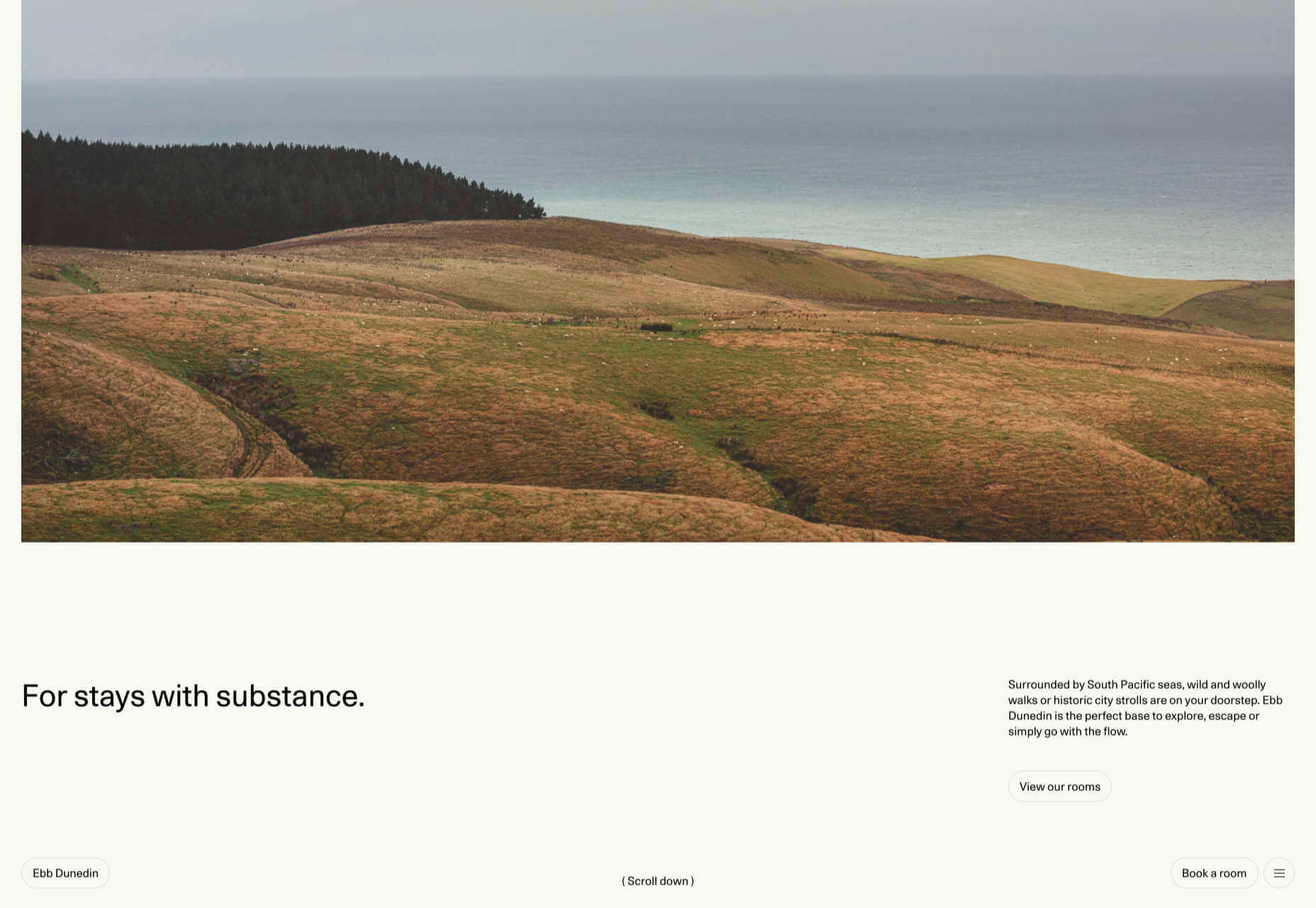 20 Best New Websites, January 2021 02 ebbdunedin