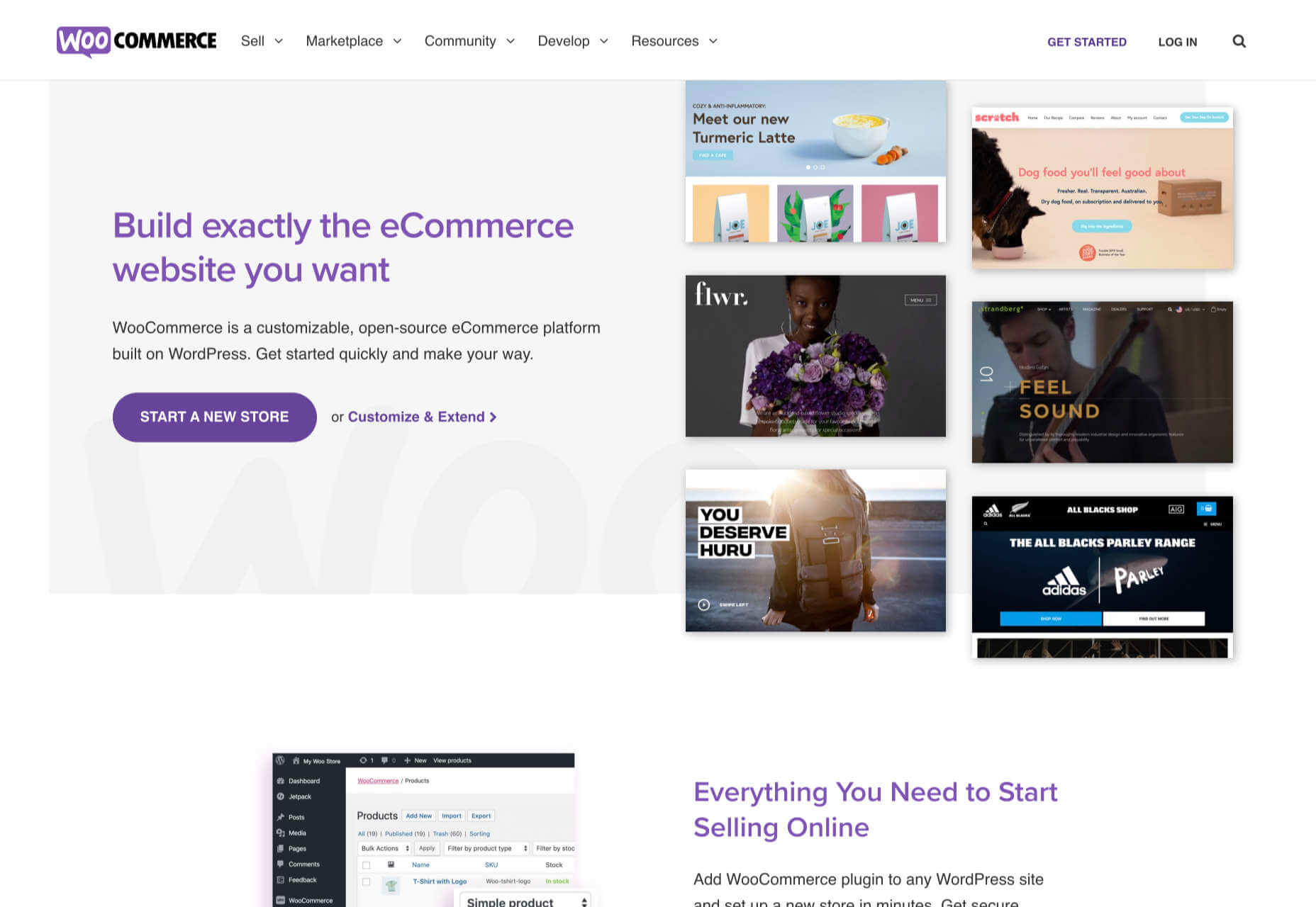 6 Best Ecommerce Solutions for 2021 woocommerce
