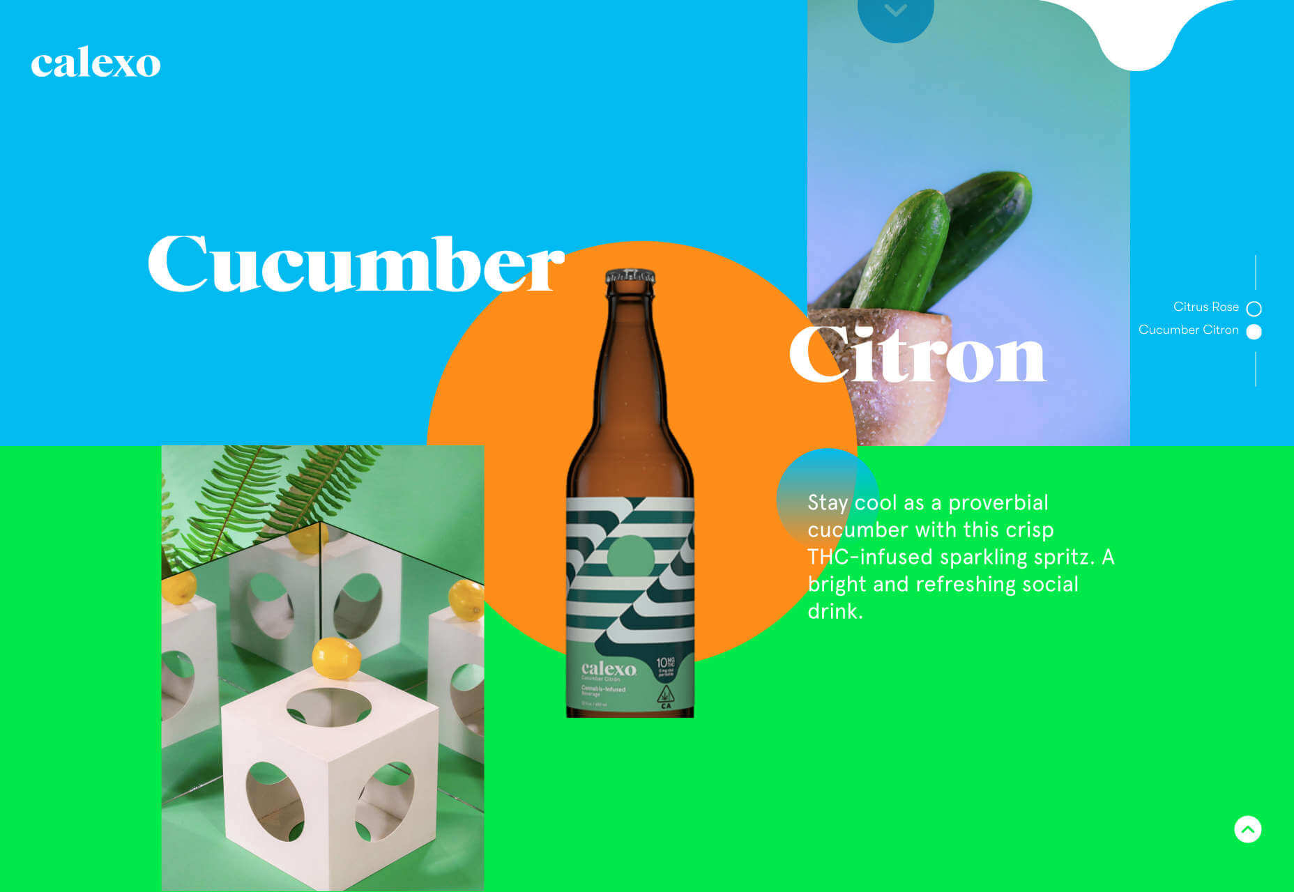 50 Best Websites of 2020