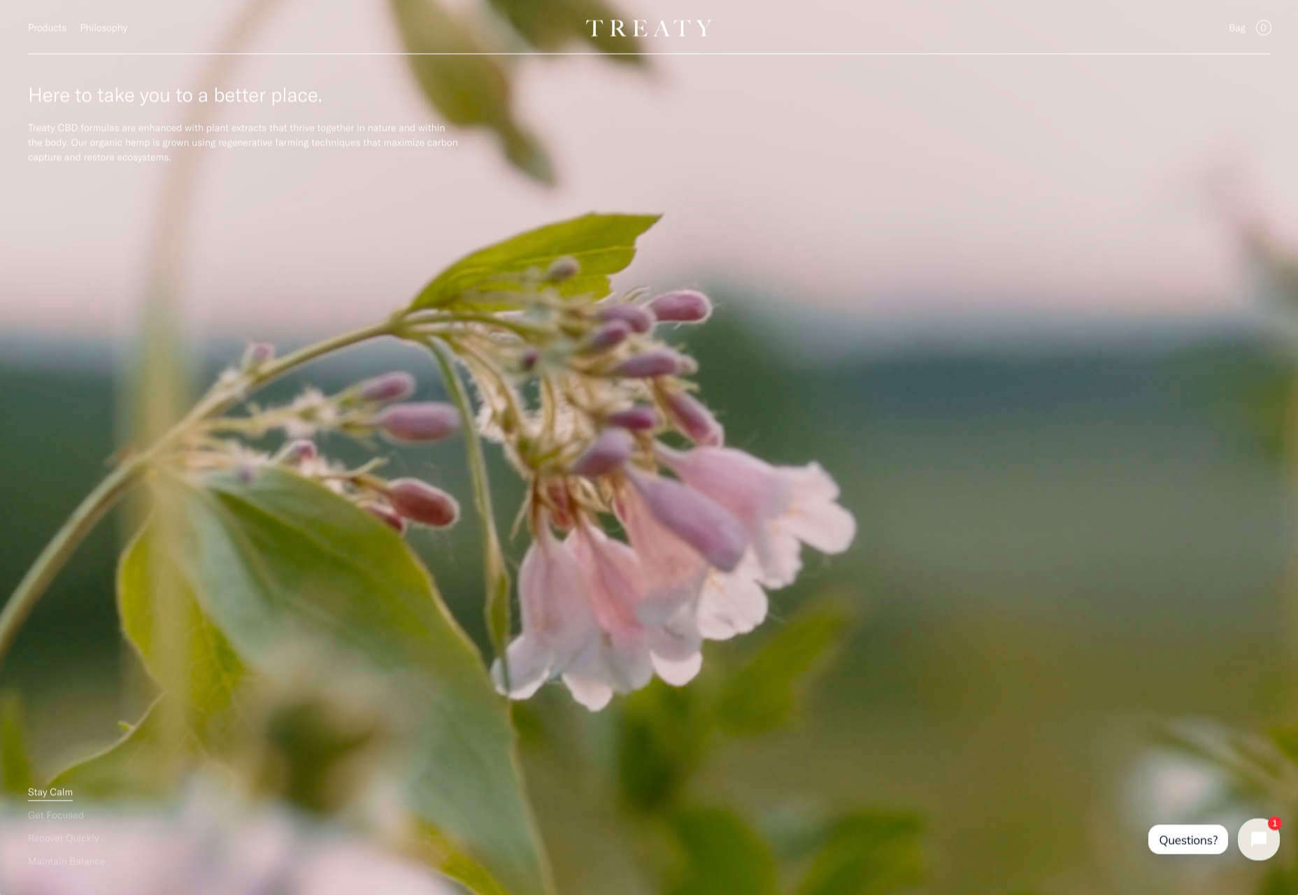 50 Best Websites of 2020 treaty
