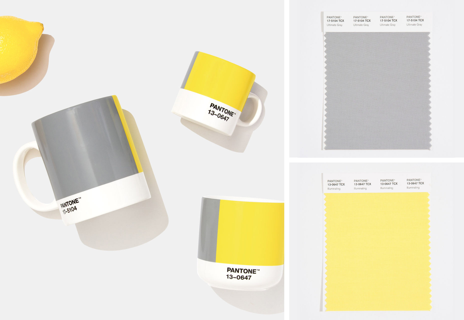 Pantone Color of the Year 2021 pantone 2021
