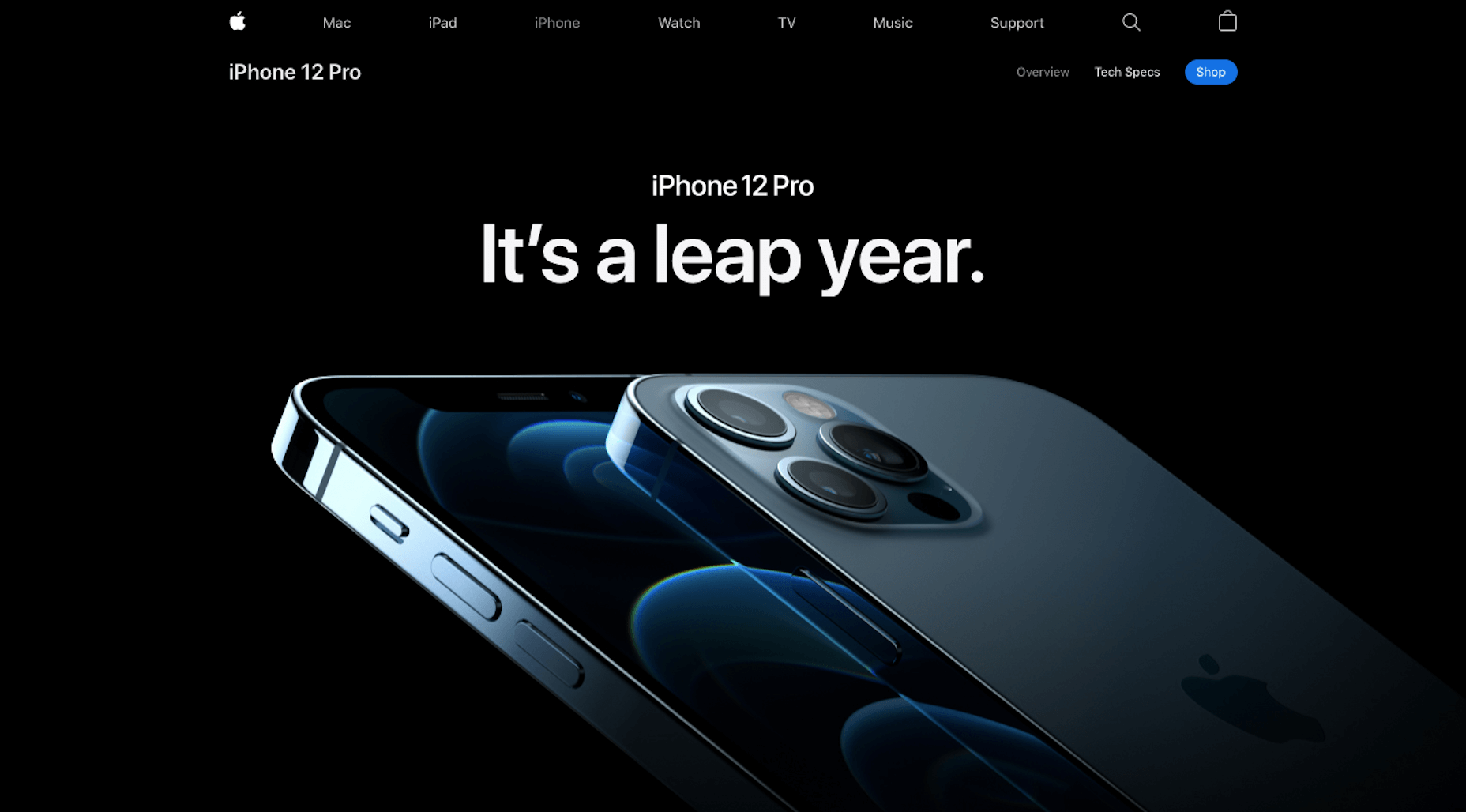 Branding 101: Creating the Visual Identity for Your Business Apple page for the iPhone 12 product line