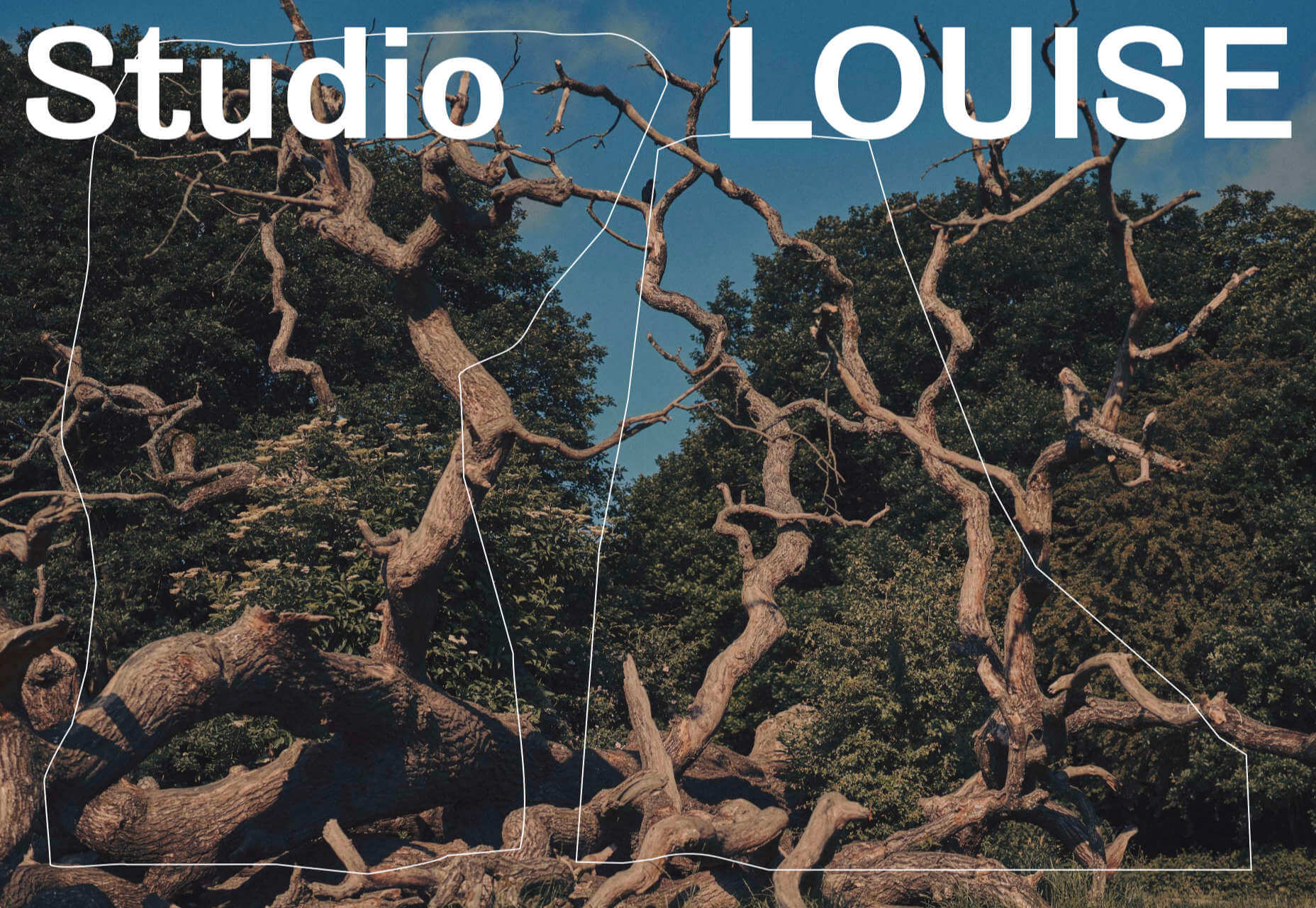 20 Freshest Web Designs, August 2020 studiolouise