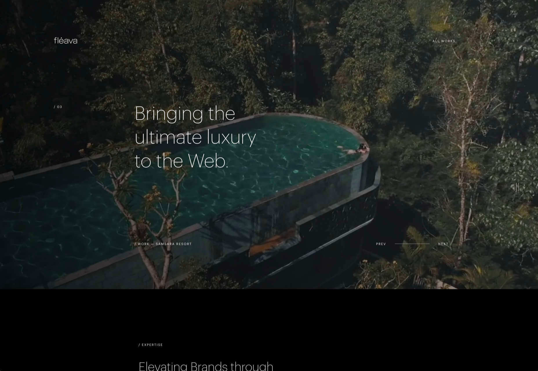 20 Freshest Web Designs, August 2020 fleava 1
