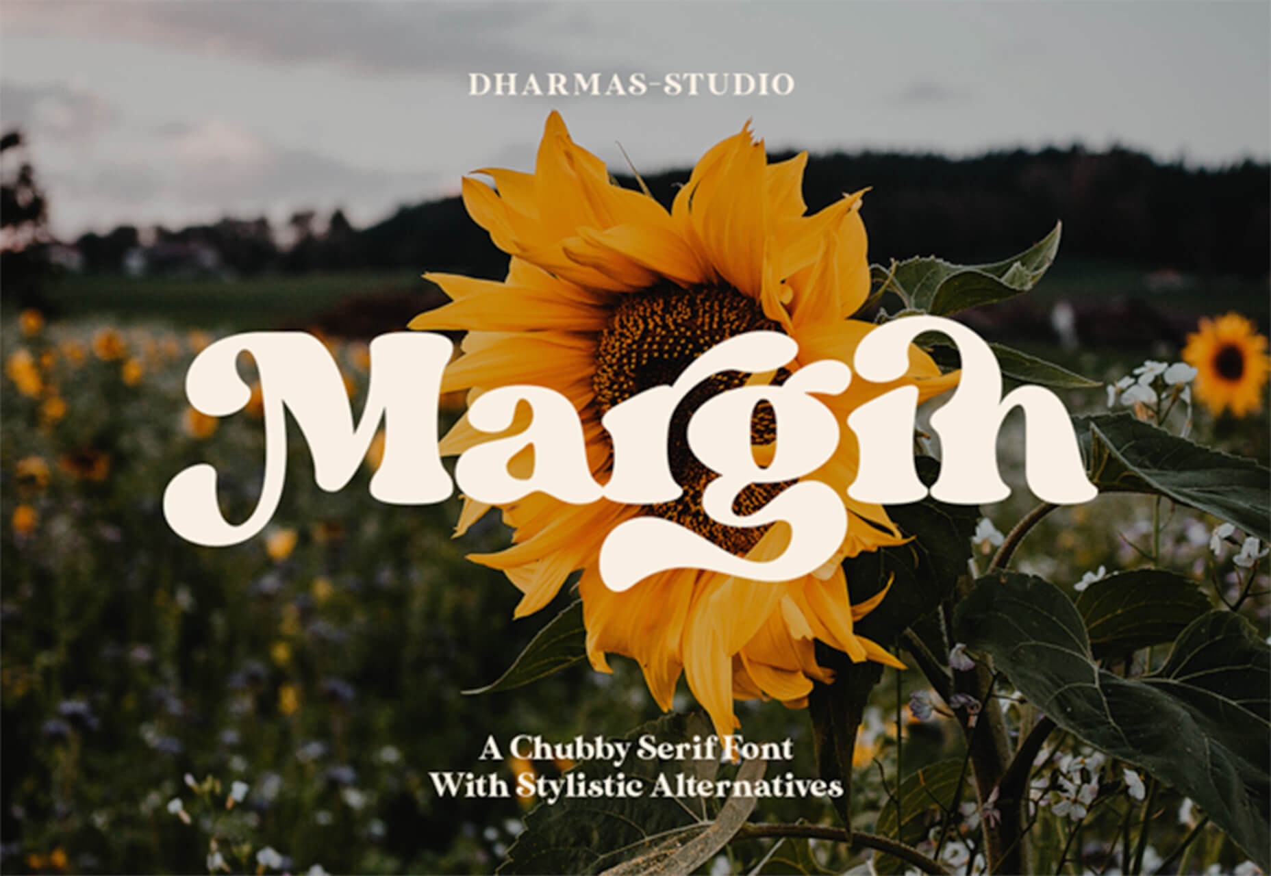 Exciting New Tools for Designers, August 2020 margin
