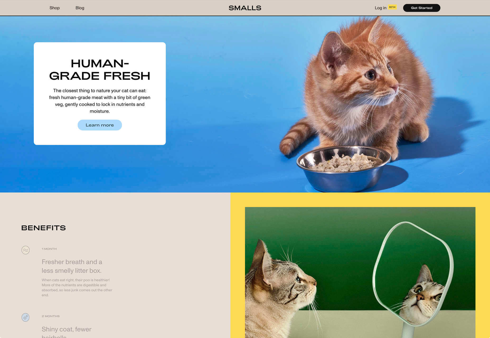 20 Unmissable Websites, July 2020 14 smalls