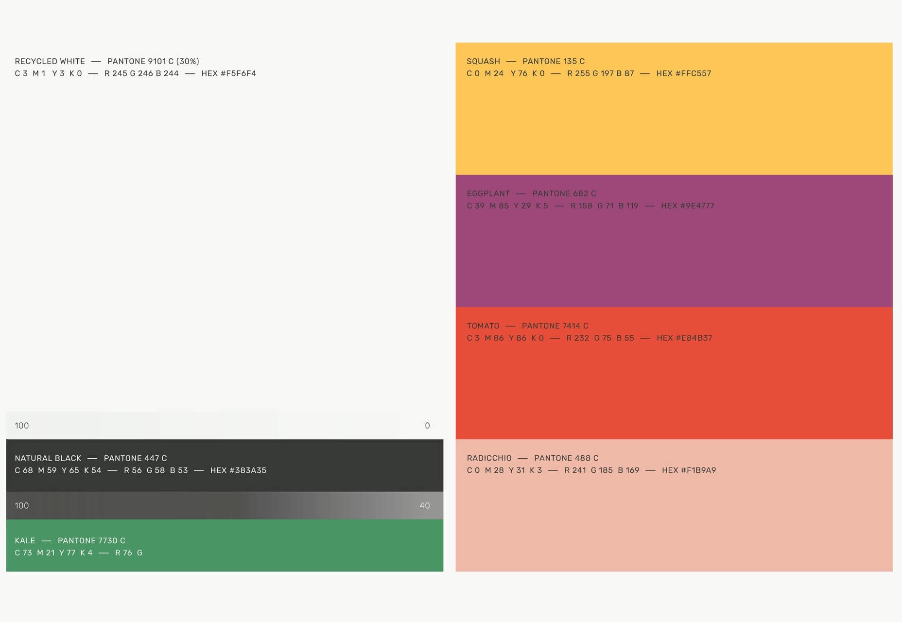 Case Study: Storytelling Through Brand Design 5_color