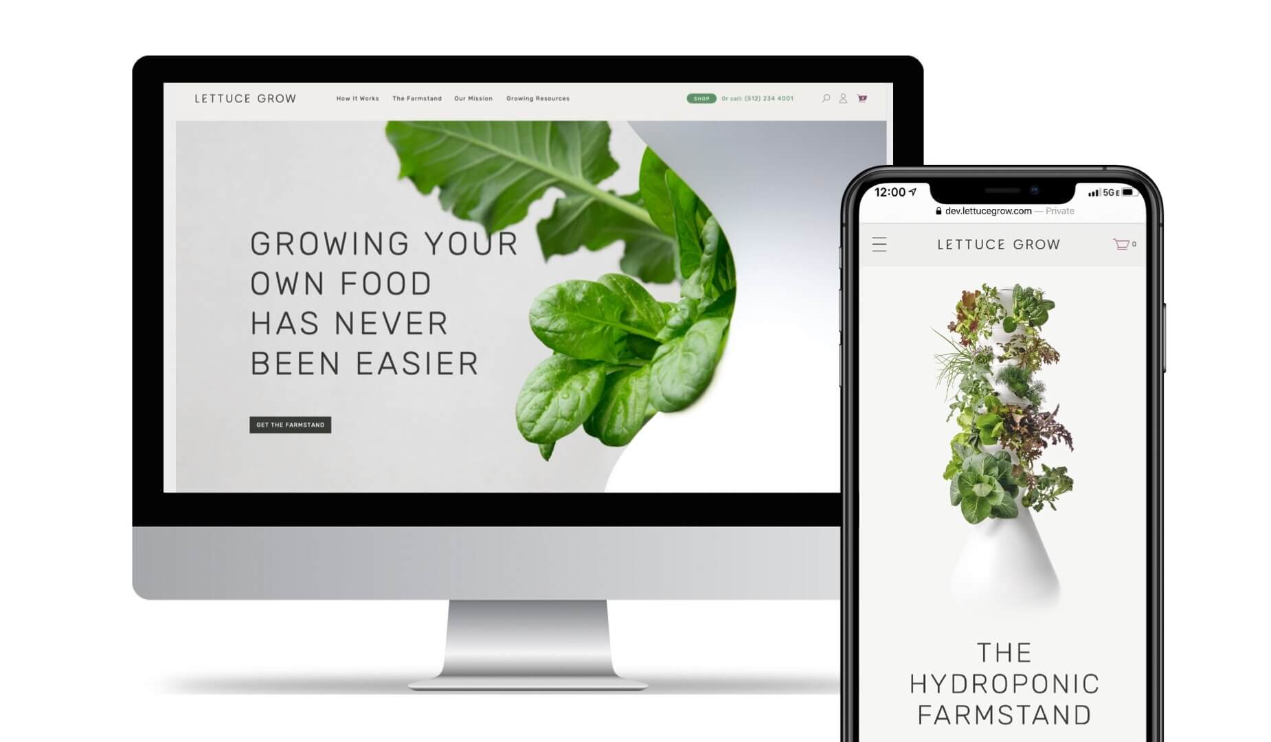 Case Study: Storytelling Through Brand Design 7_website