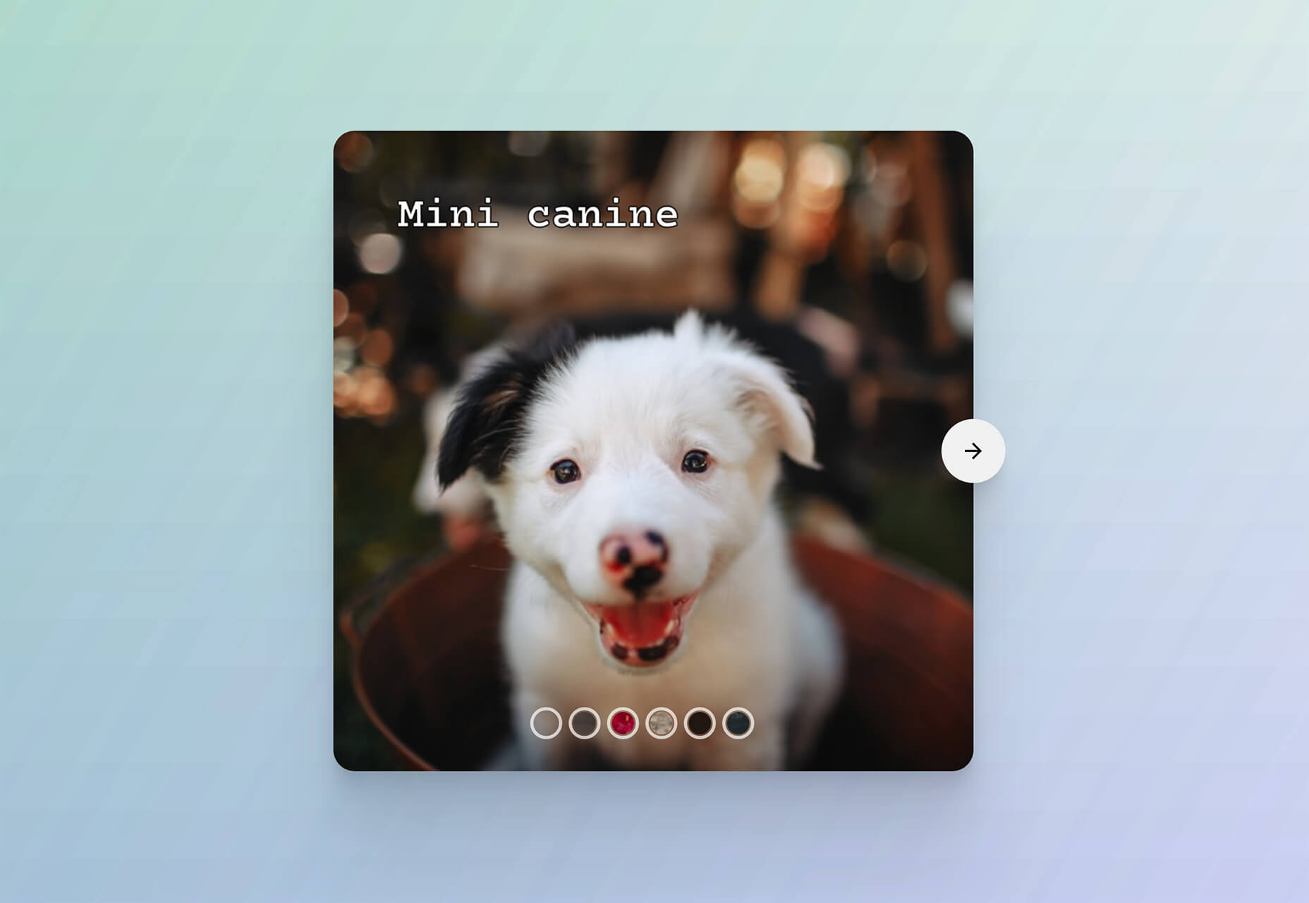 Exciting New Tools for Designers, April 2020 circle-swap