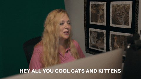 How Freelancers Can Stay Positive During the Coronavirus Crisis Tiger King GIF
