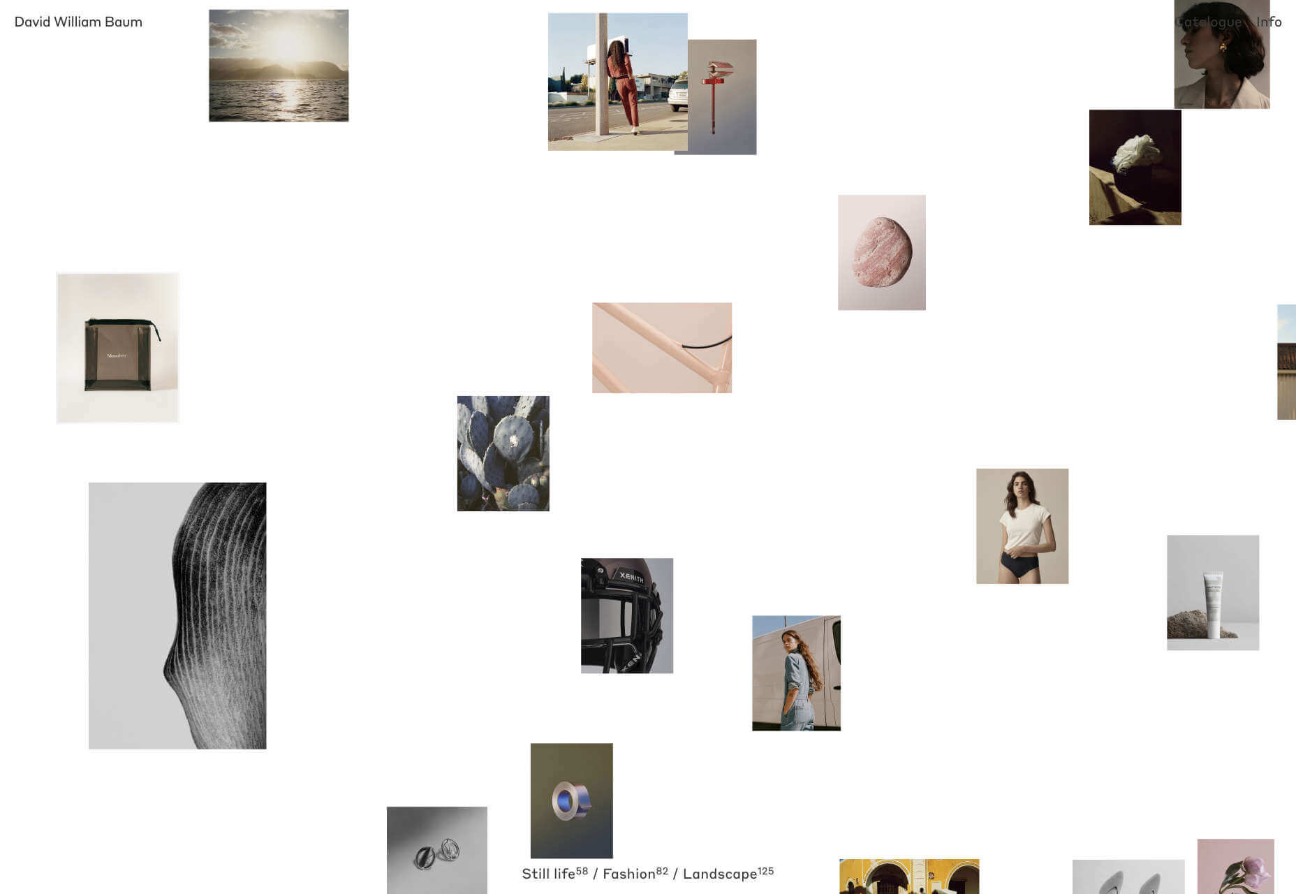 Introducing 15 Best New Portfolios, February 2020 david_william_baum