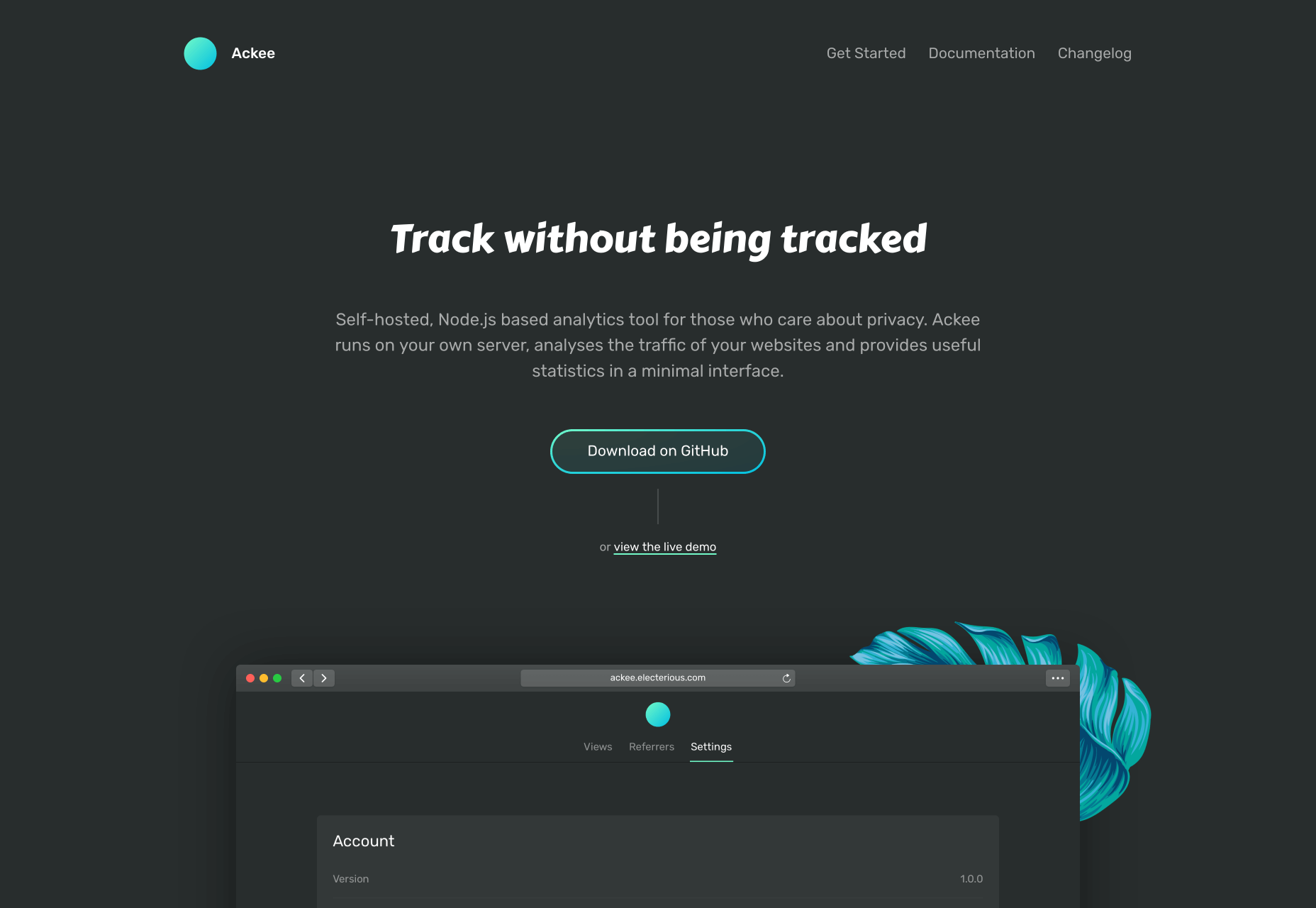 20 Freshest Web Designs, November 2019 007-ackee