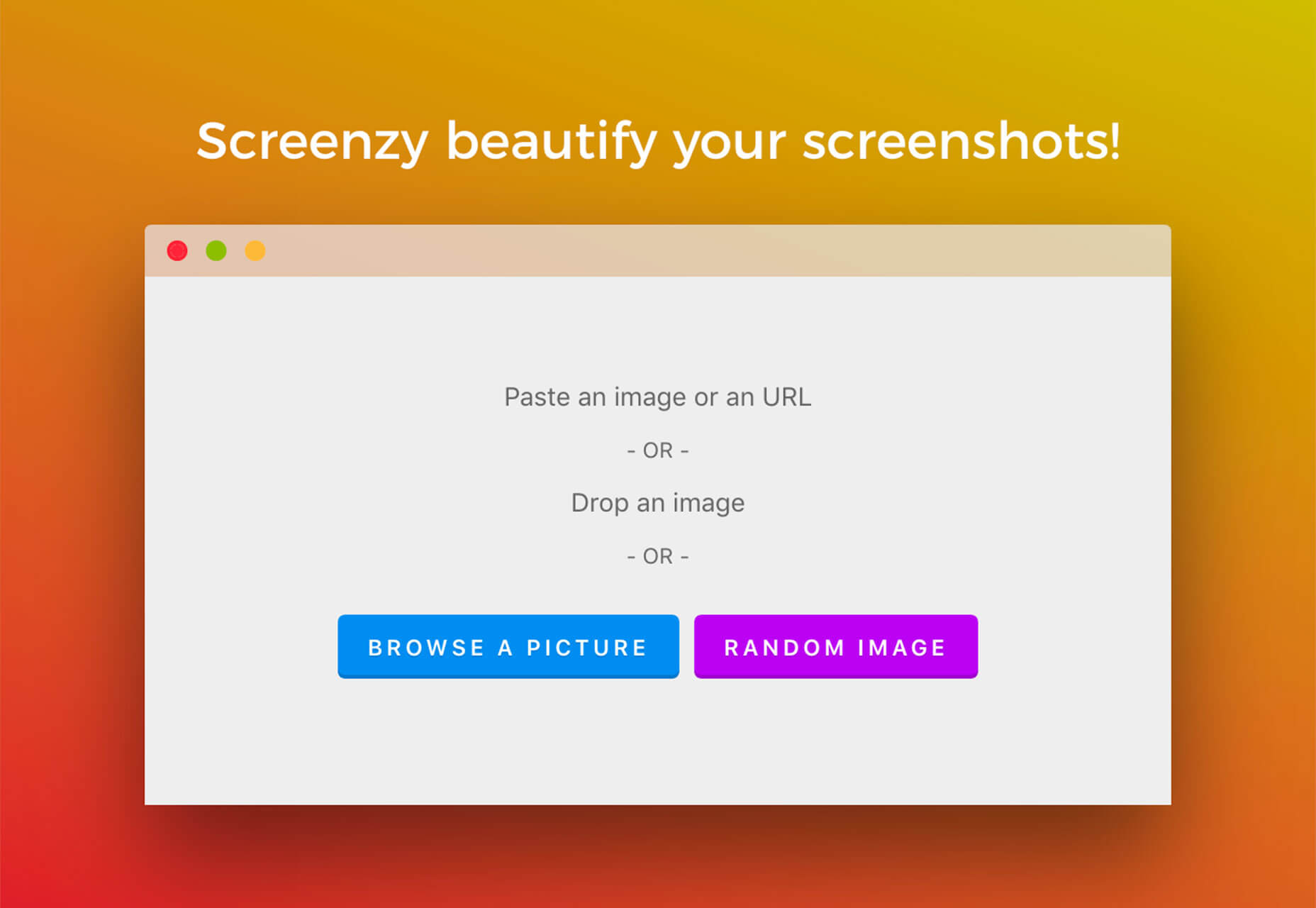 What’s New for Designers, July 2019 screenzy