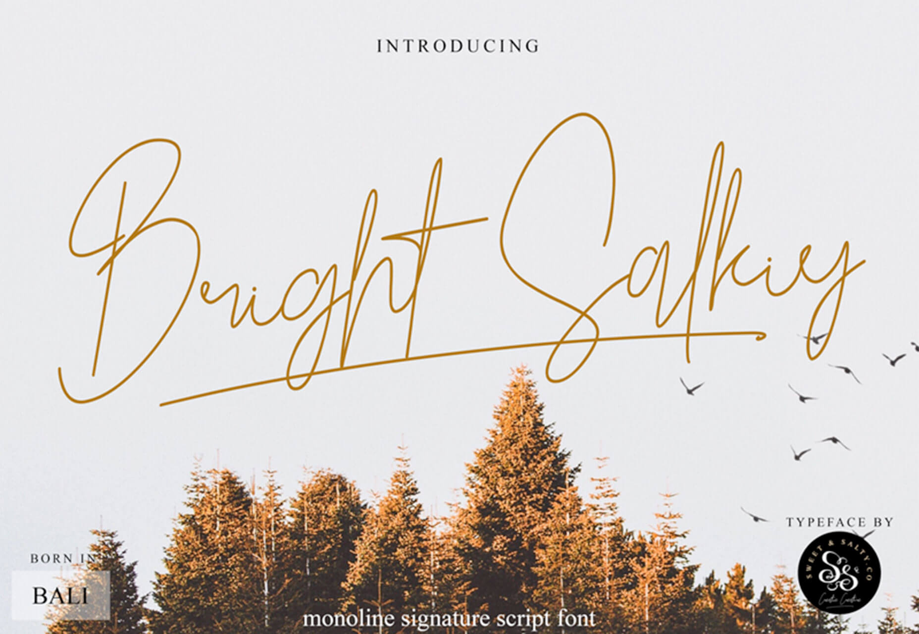 What’s New for Designers, July 2019 bright