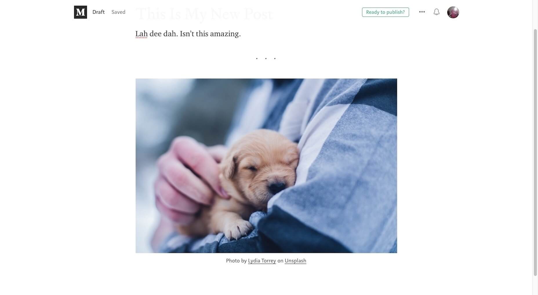 Is Medium in a Downward Spiral? Medium Unsplash Image