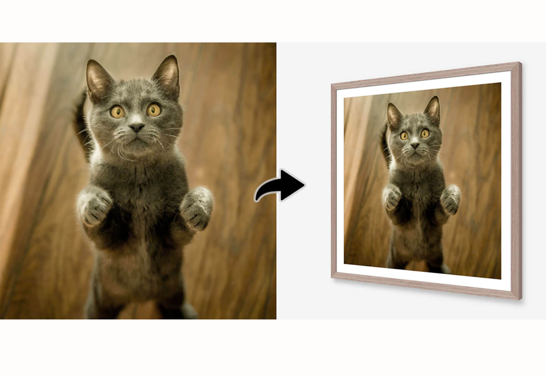 What’s New For Designers, June 2019 3dframe